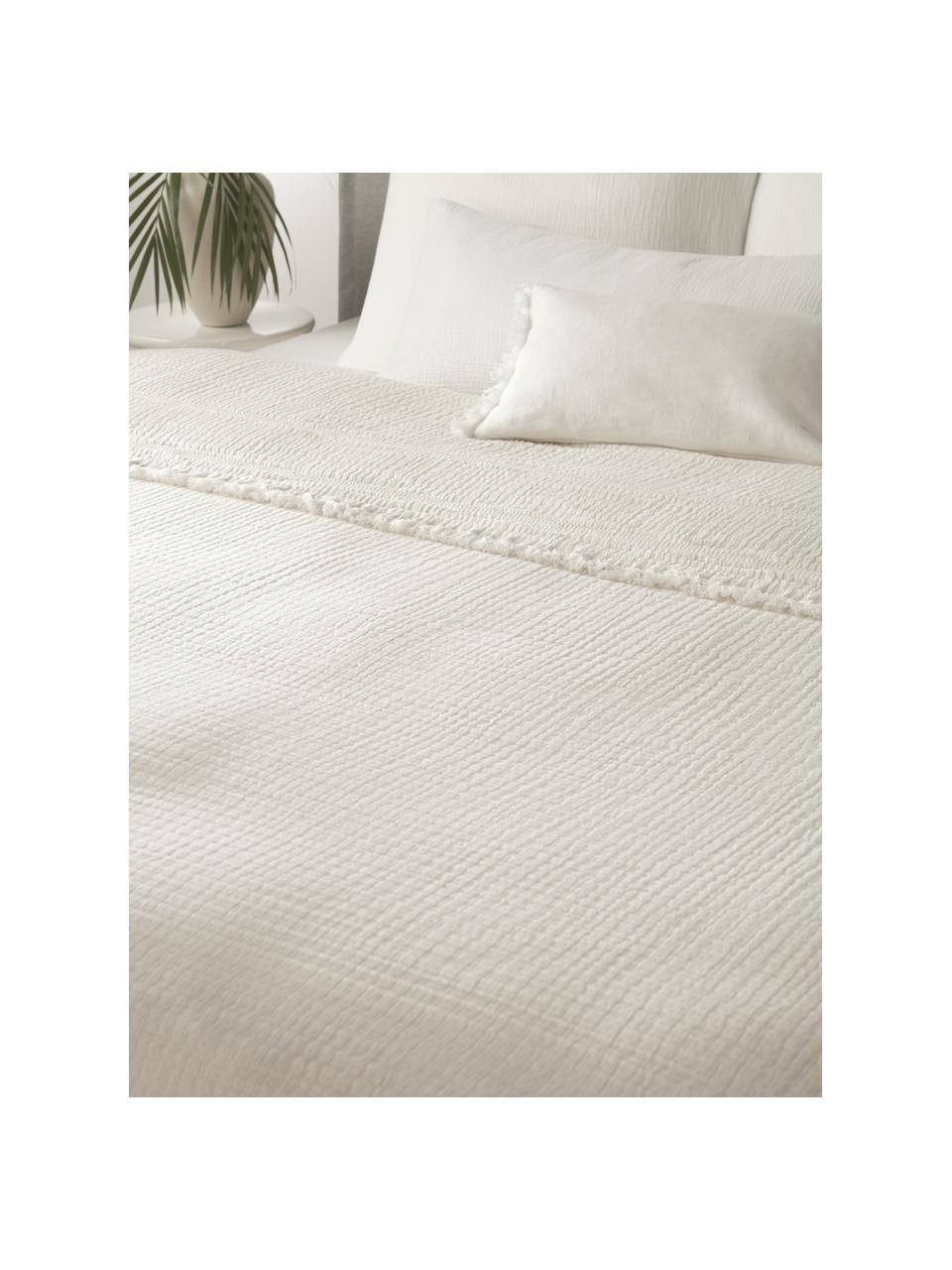 Colcha de algodón con flecos Kailani, 100% algodón

Densidad de hilo 225 TC, calidad confort

El algodón da una sensación agradable y suave en la piel, absorbe bien la humedad y es adecuado para personas alérgicas., Beige, An 180 x L 250 cm