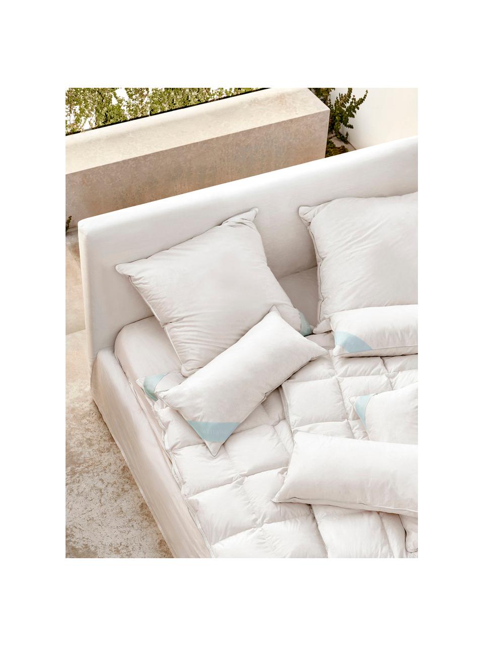 Almohada 3 cámaras Premium, firmeza baja, Exterior: plumas blancas nuevas (90, Interior: plumas nuevas blancas, cl, Funda: 100% algodón Mako, Blando, An 40 x L 80 cm