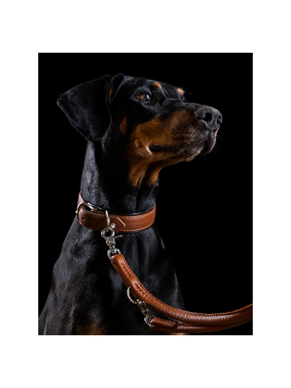 Laisse pour chien en cuir nappa Amici, tailles variées, Brun, long. 200 x larg. 0,6 cm