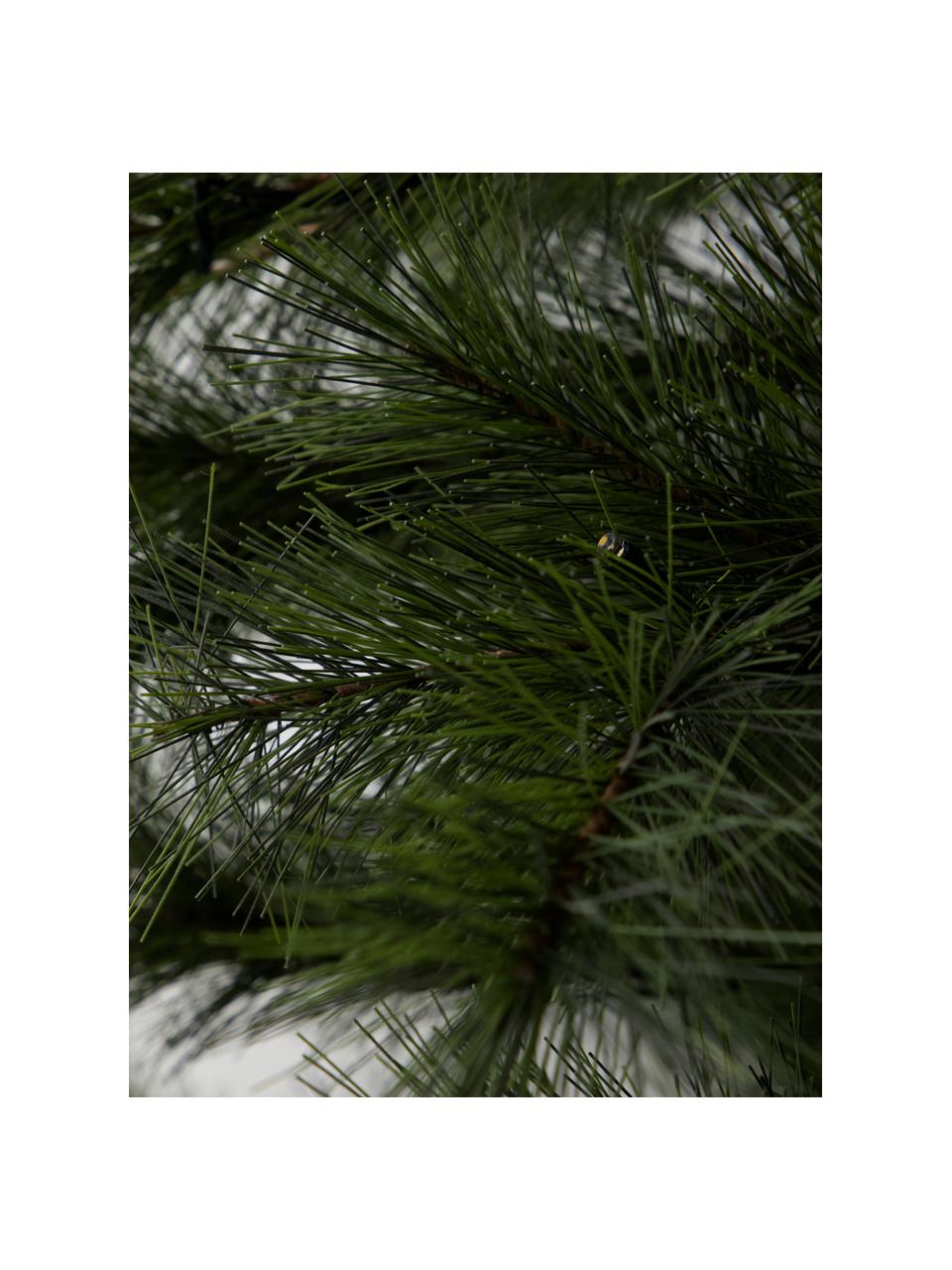 Sapin de Noël avec lumières LED et fonction minuterie Peuce, Vert foncé, Ø 96 x haut. 150 cm