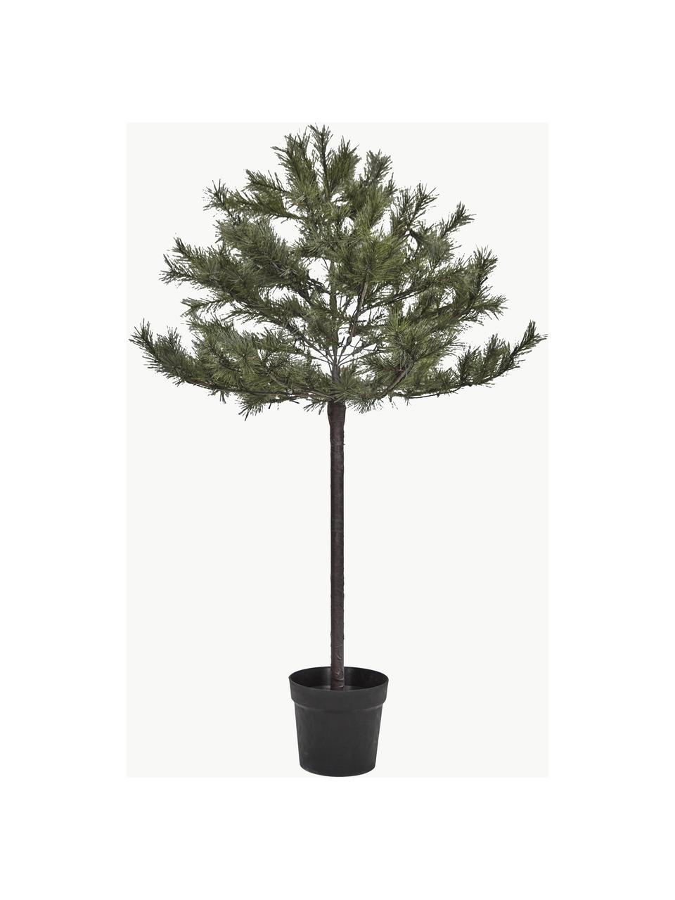 Albero di Natale con luci LED e funzione timer Peuce, Verde scuro, Ø 96 x Alt. 150 cm