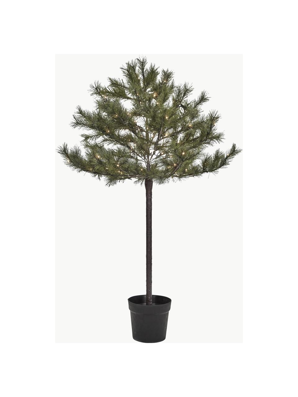 Albero di Natale con luci LED e funzione timer Peuce, Verde scuro, Ø 96 x Alt. 150 cm