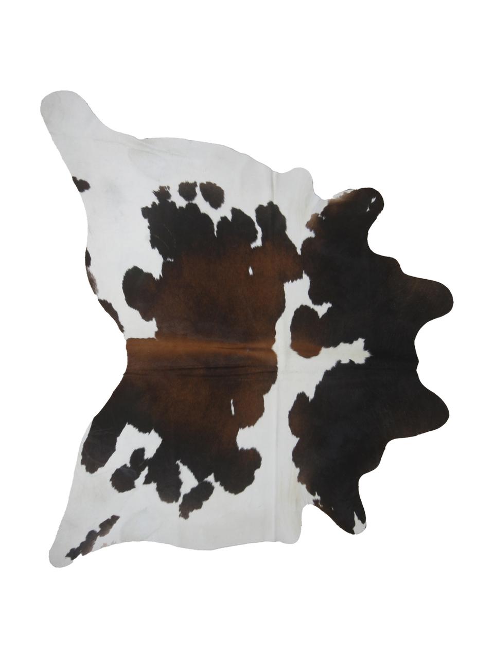 Alfombra de piel bovina Hektor, Piel bovina, Marrón, blanco, Piel bovina única 2043, 160 x 180 cm