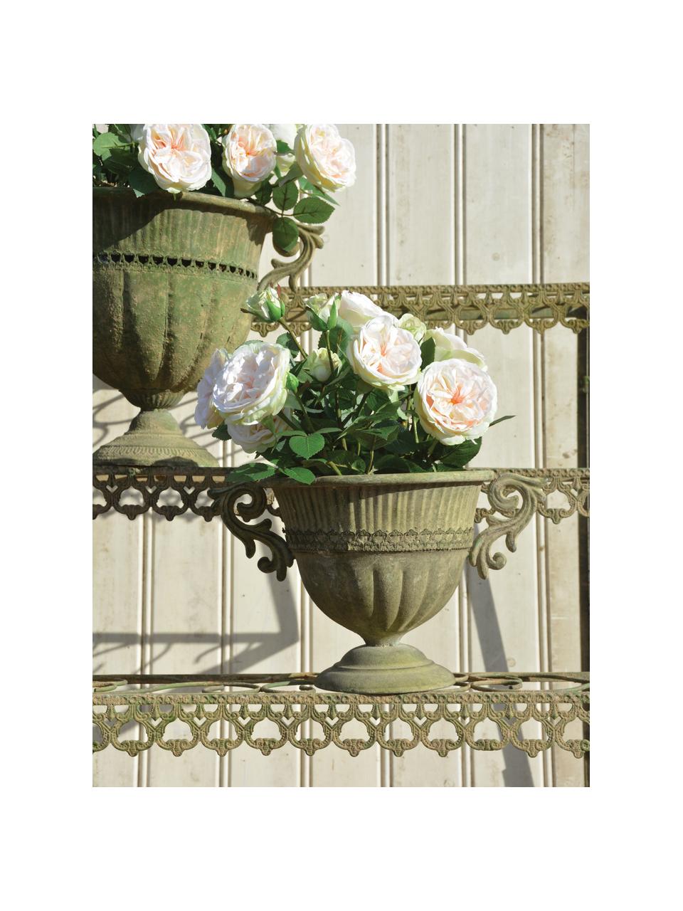 Grand pot de fleurs vintage Valina, Acier, enduit, Vert, beige, larg. 36 x haut. 22 cm