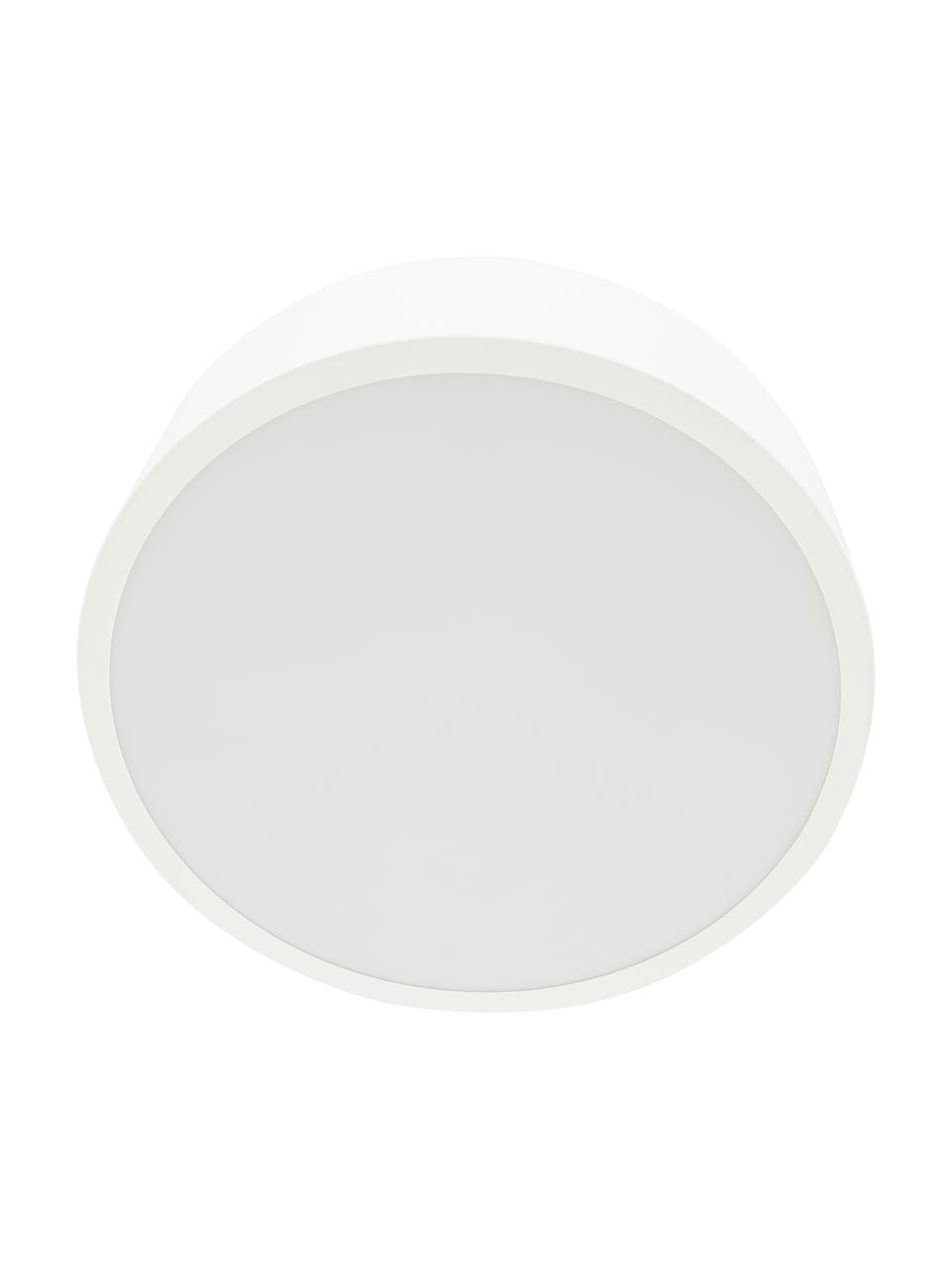 Plafoniera stile nordico in metallo Ole, Paralume: metallo verniciato a polv, Baldacchino: metallo verniciato a polv, Disco diffusore: acrilico, Bianco opaco, Ø 35 x Alt. 18 cm
