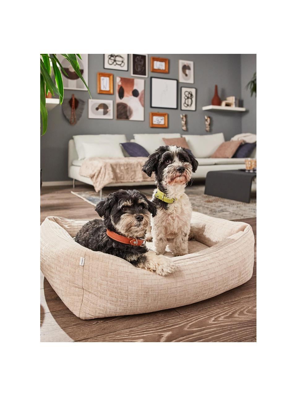 Cama para mascotas de pana Nova, tamaños diferentes, Tapizado: pana (100 % poliéster) Al, Beige claro, An 68 x F 55 cm