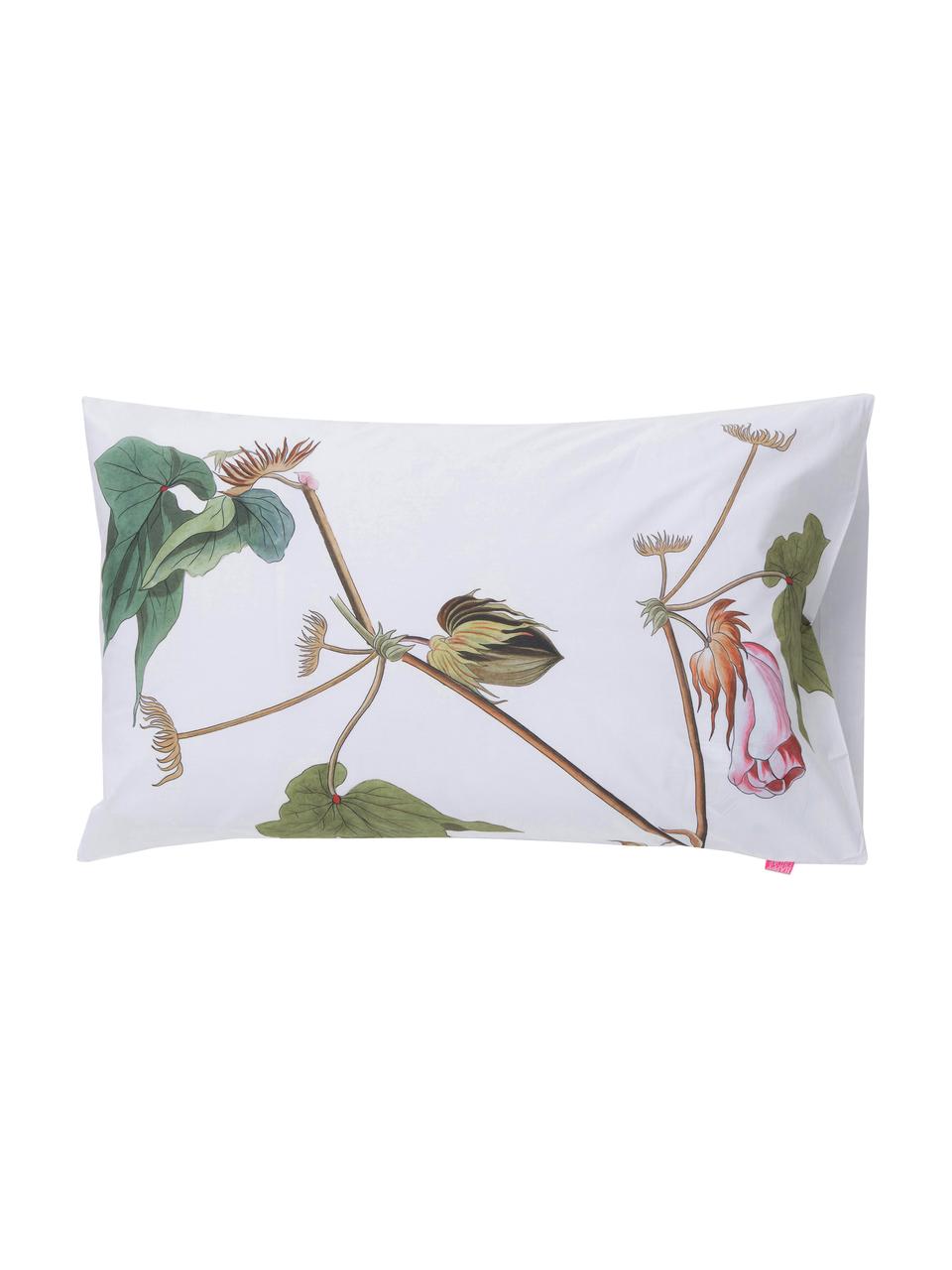 Fundas de almohada Blooming, 2 uds., 50 x 75 cm, 100% algodón
El algodón da una sensación agradable y suave en la piel, absorbe bien la humedad y es adecuado para personas alérgicas, Blanco, tonos verdes y rosas, An 50 x L 75 cm