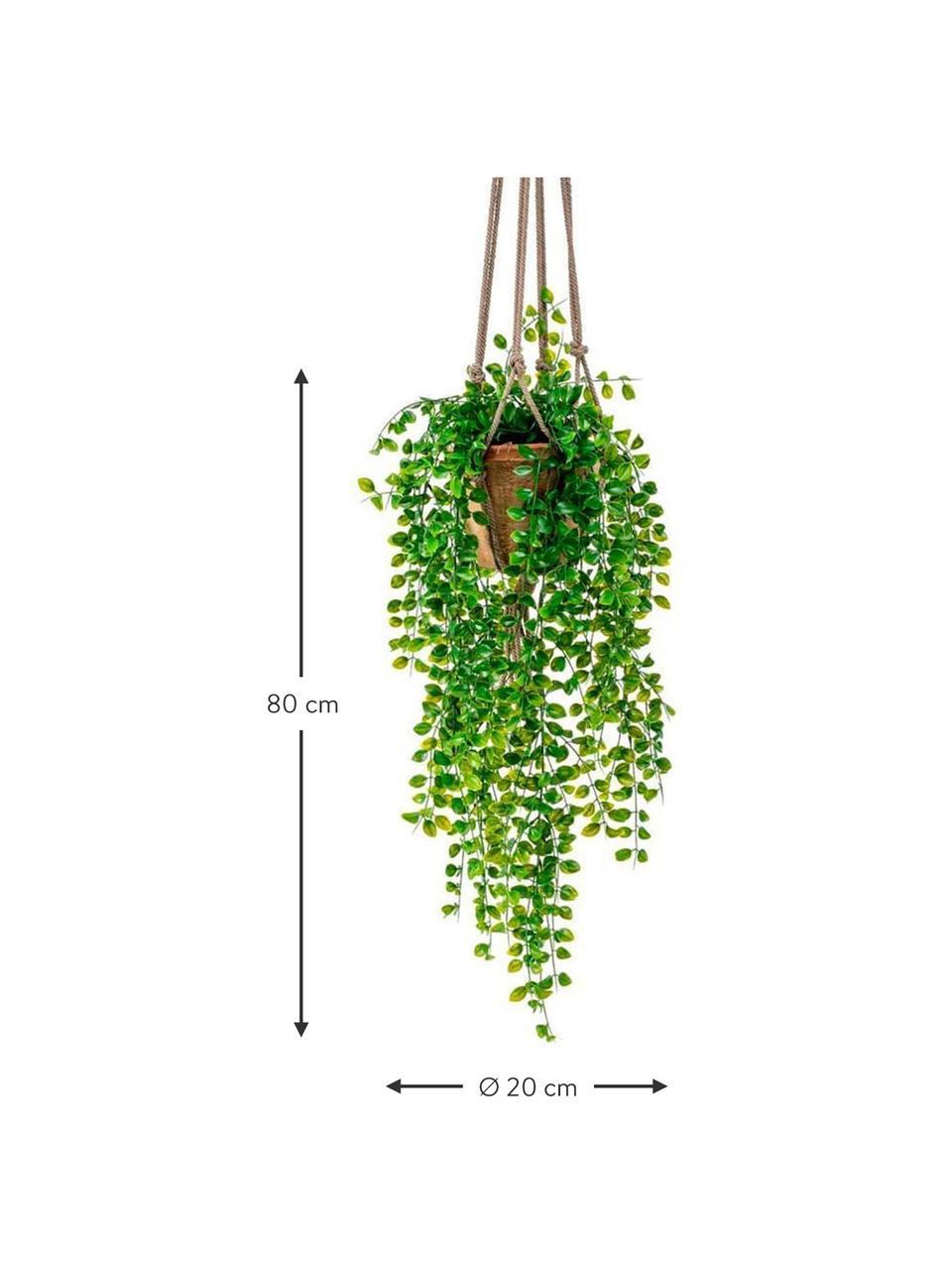 Planta artificial Ficus, Poliéster, Látex, Polipropileno, Alambre de metal, Verde, Ø 20 x Al 80 cm