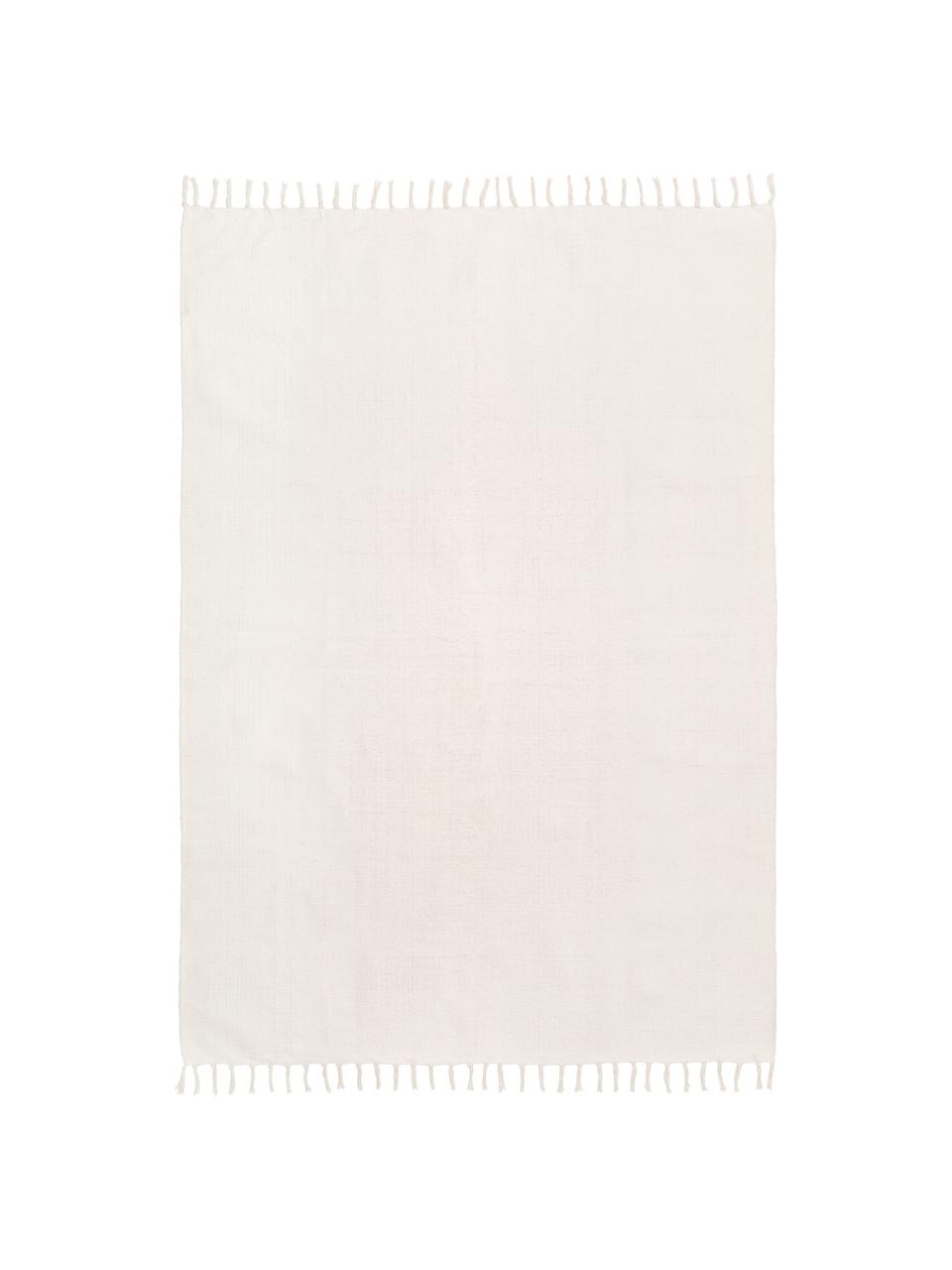 Ręcznie tkany dywan z bawełny Agneta, 100% bawełna

Ten produkt został przetestowany pod kątem substancji szkodliwych i certyfikowany zgodnie z STANDARD 100 by OEKO-TEX® HOHENSTEIN HTTI, 21.HIN.90042, Kremowobiały, S 70 x D 140 cm (Rozmiar XS)