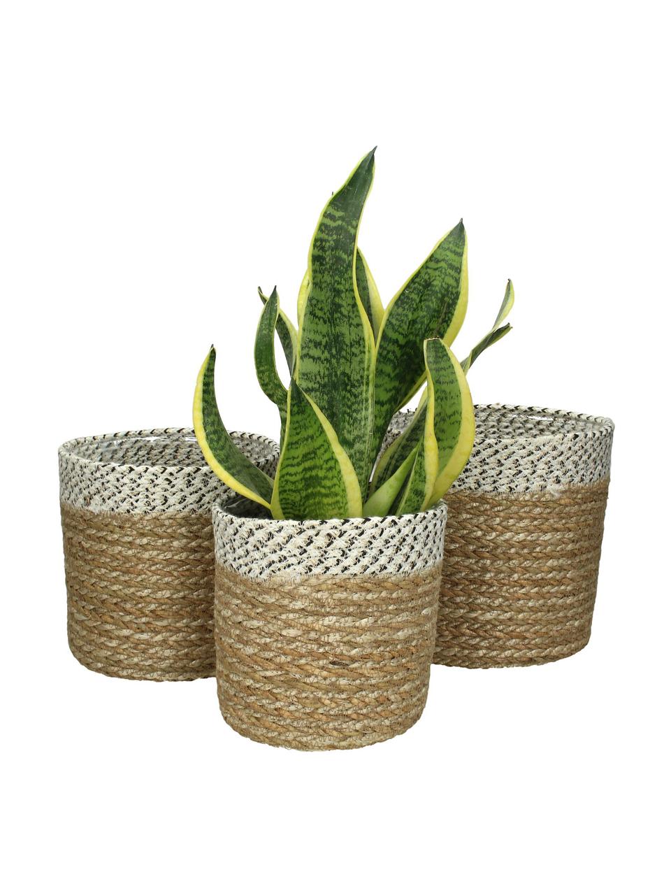 Plantenpot Sola van zeegras, 3 stuks, Zeegras, Zeegras, wit, zwart, Set met verschillende formaten