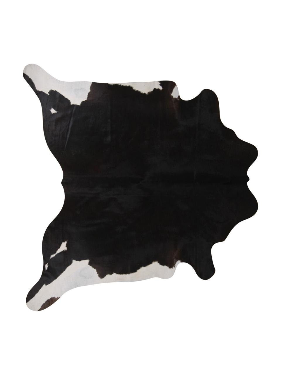 Alfombra de piel bovina Pisces, Piel bovina, Blanco con manchas negras, Piel bovina única 967, 160 x 180 cm