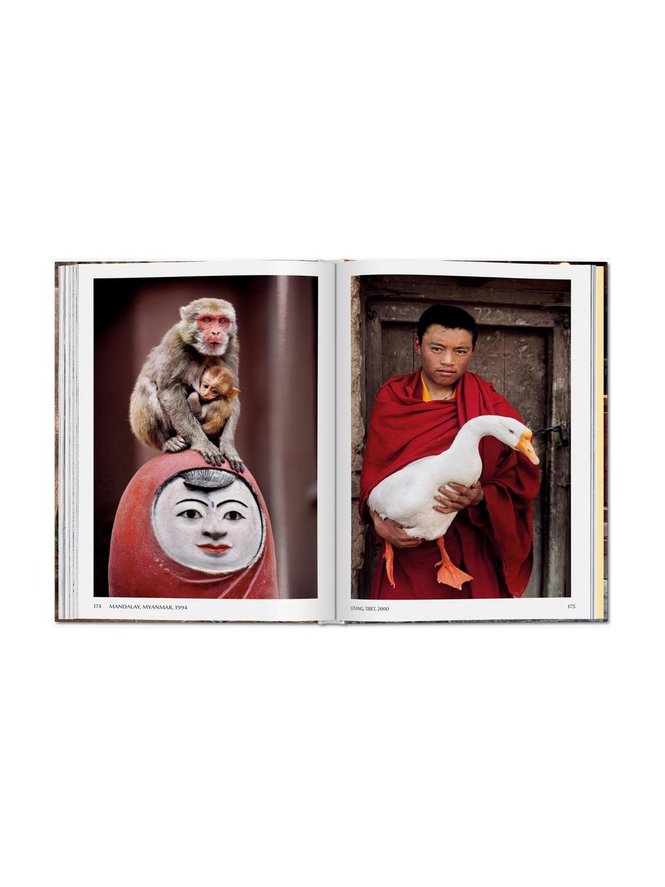 Livre photo Steve McCurry. Animals, Papier, couverture rigide, Steve McCurry. Animals, larg. 14 x haut. 20 cm