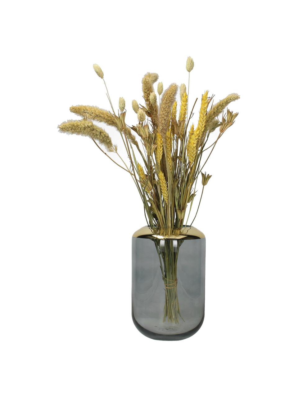 Glas-Vase Janak, Glas, Grau, transparent, Goldfarben, Ø 16 x H 25 cm