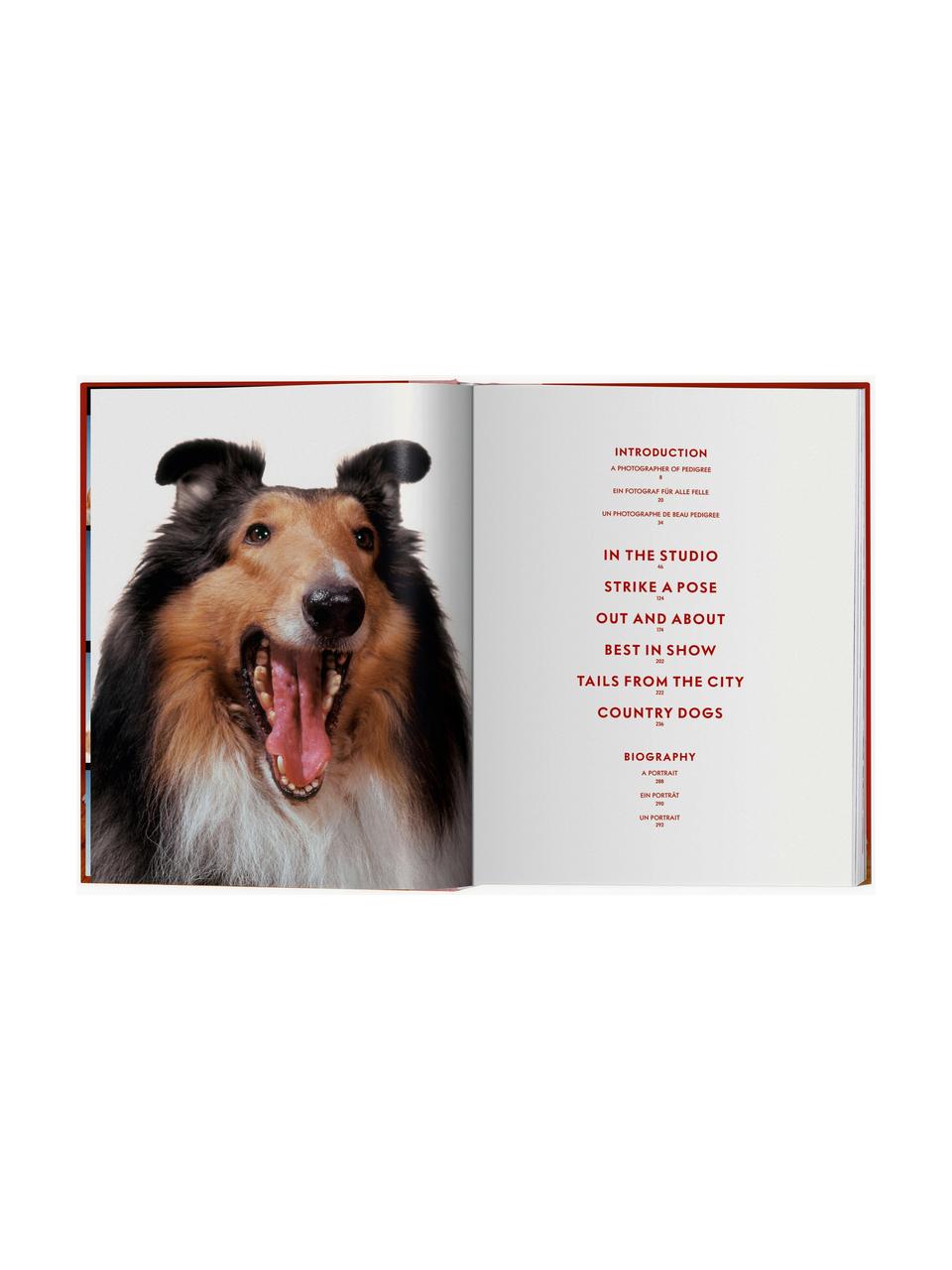 Geïllustreerd boek Dogs Photographs 1941–1991, Papier, hardcover, Dogs Photographs 1941–1991, B 24 x H 32 cm