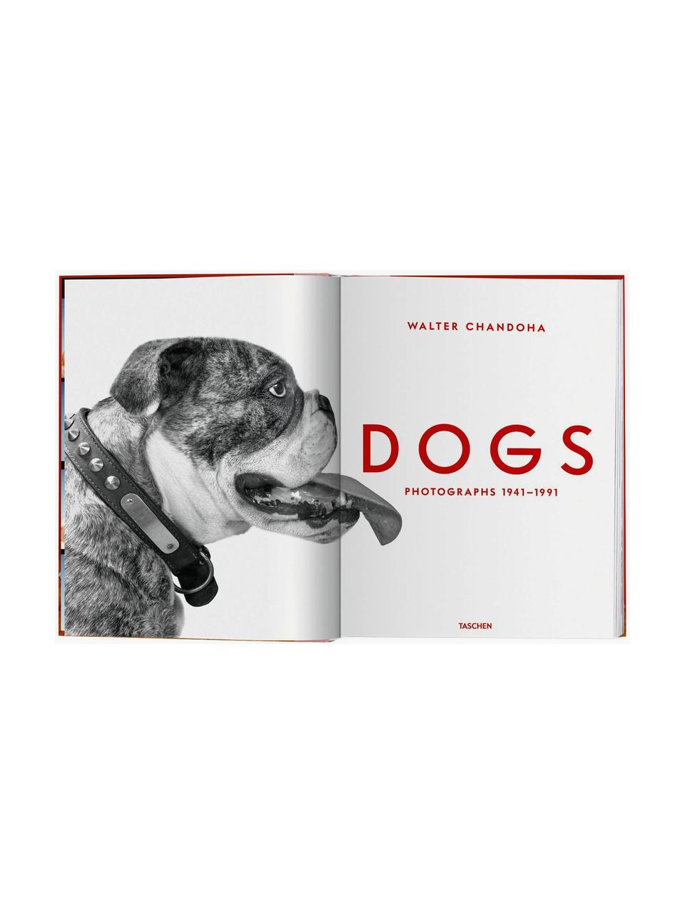 Bildband Dogs. Photographs 1941–1991, Papier, Hardcover, Dogs. Photographs 1941–1991, B 24 x H 32 cm