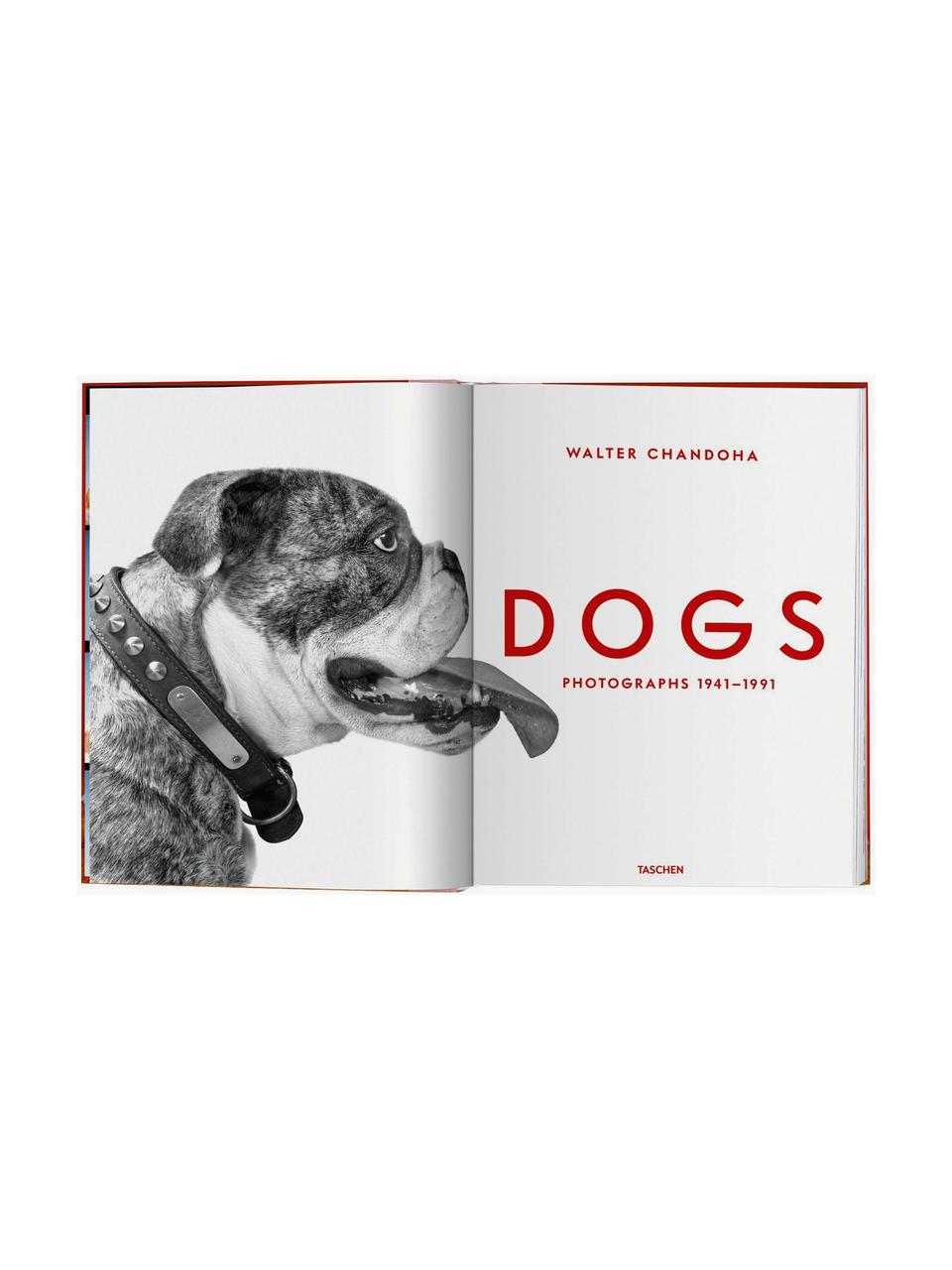 Libro illustrato Dogs. Fotografie 1941–1991, Carta, cornice rigida, Dogs. Photographs 1941–1991, Ø 24 x Alt. 32 cm