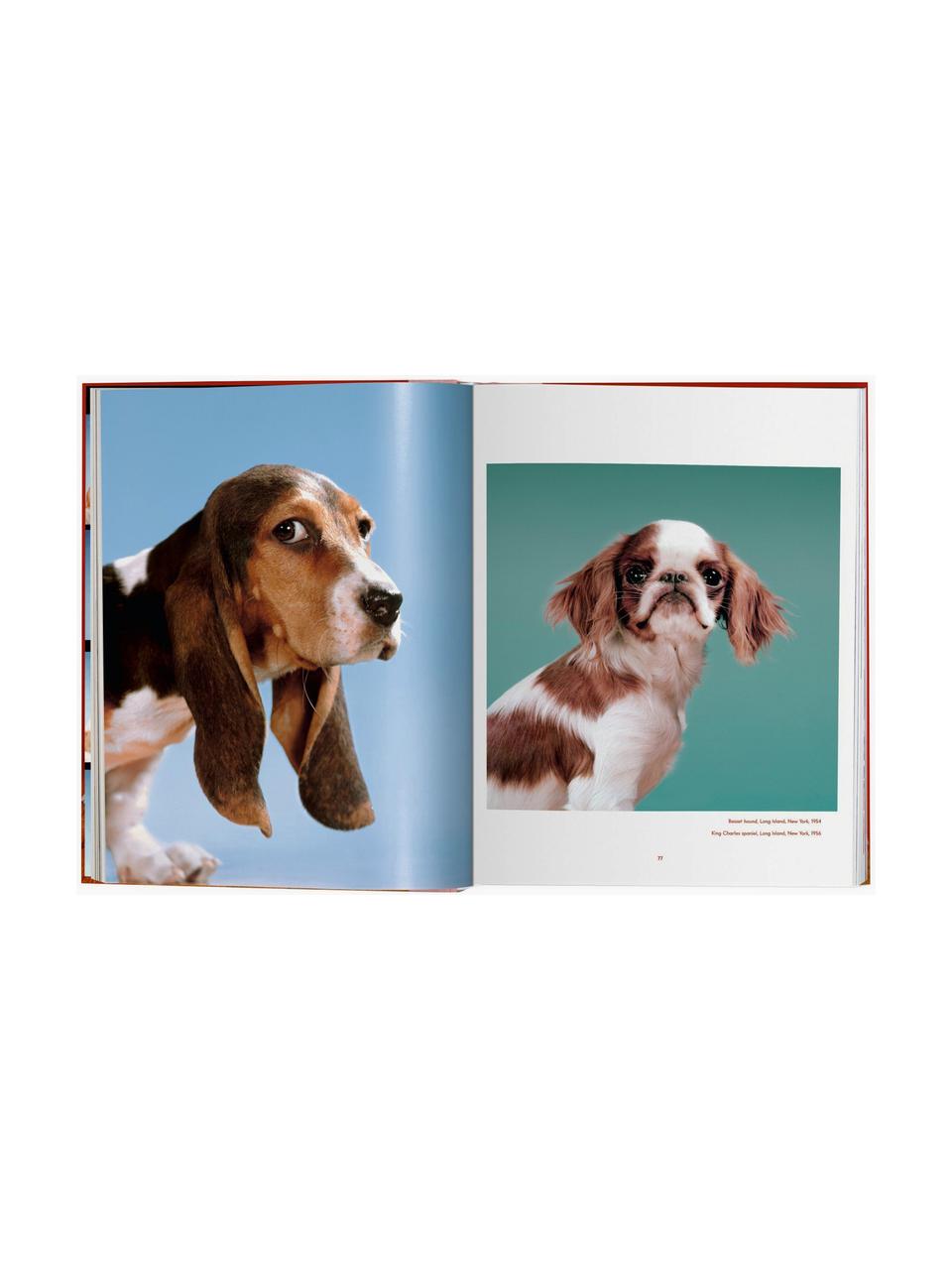 Libro ilustrado Dogs. Photographs 1941–1991, Papel, tapa dura, Dogs. Photographs 1941–1991, An 24 x Al 32 cm