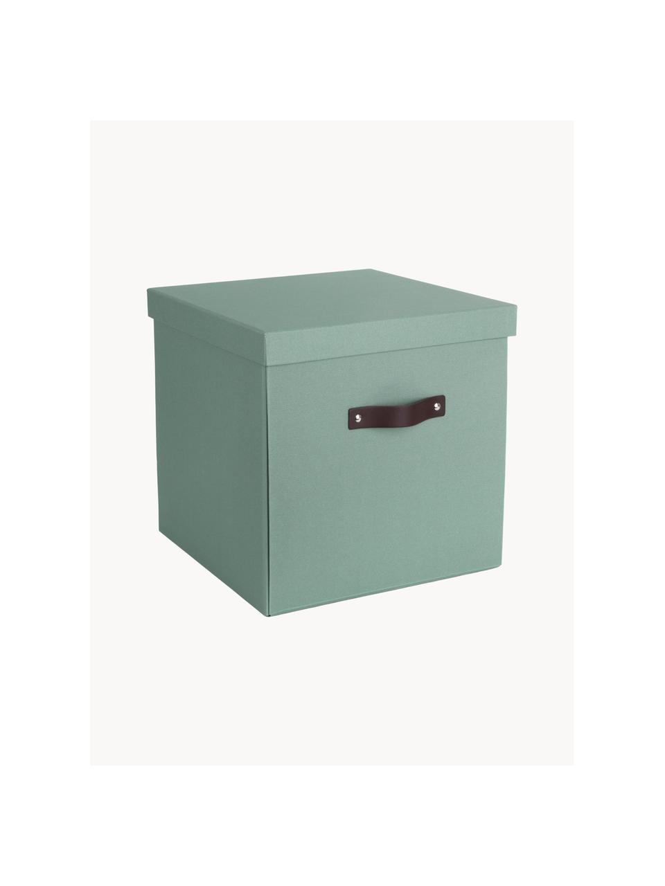 Úložný box Logan, Šalvějově zelená, Š 32 cm, H 32 cm