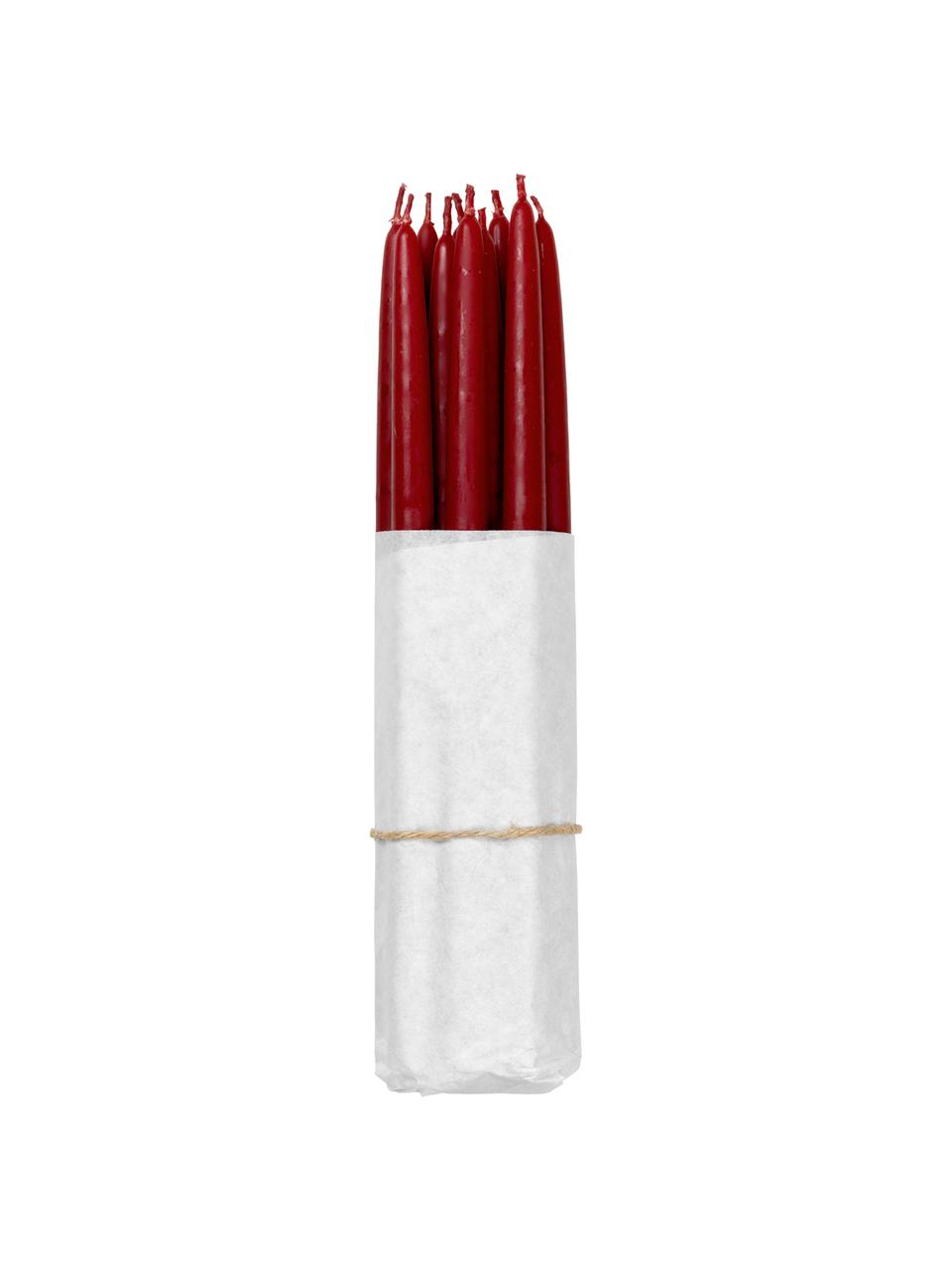 Velas cónicas Loka, 10 uds., Cera, Color vino, Ø 1 x Al 21 cm