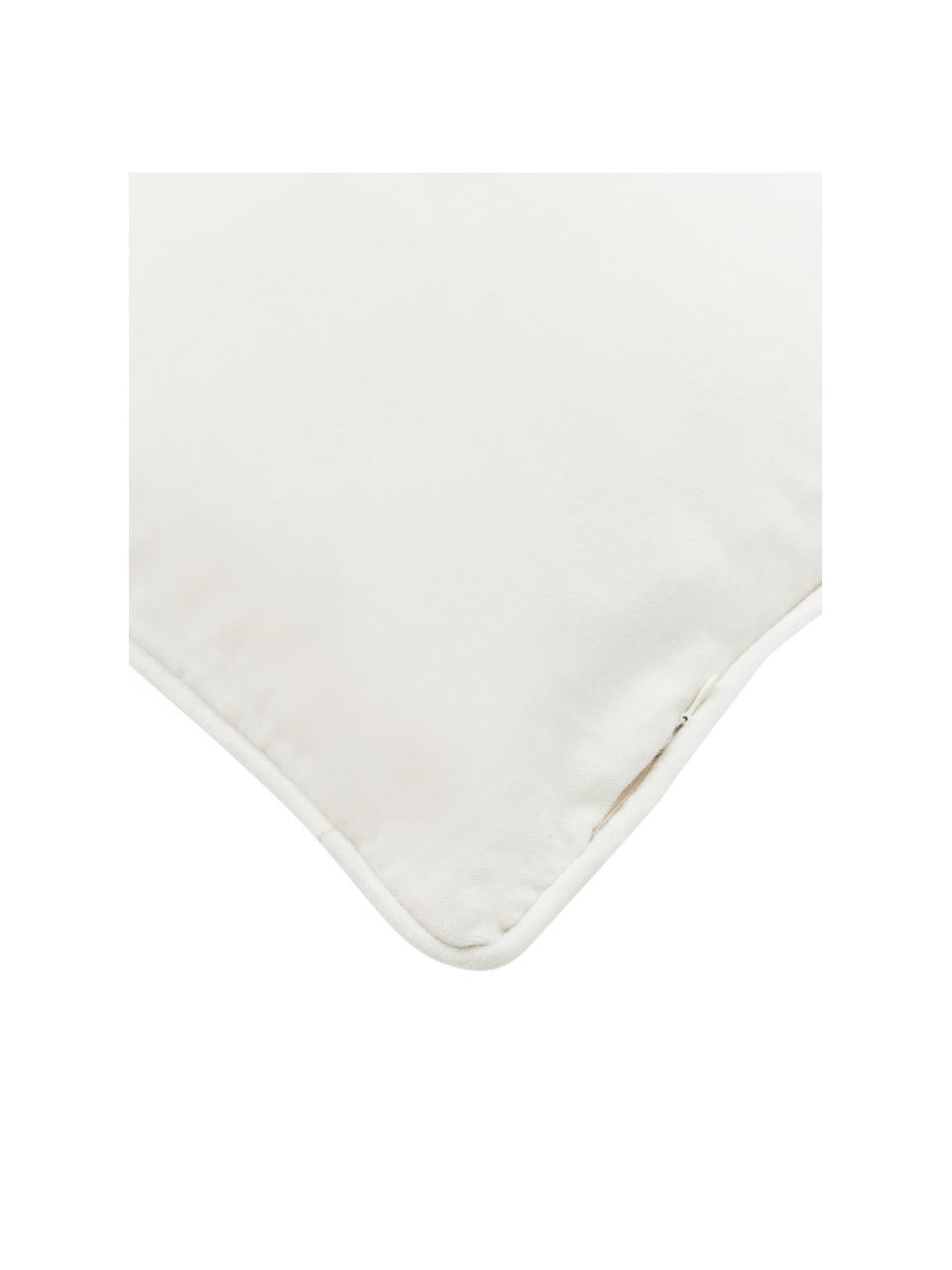 Funda de cojín de terciopelo Dana, 100% terciopelo de algodón, Blanco crema, An 30 x L 50 cm