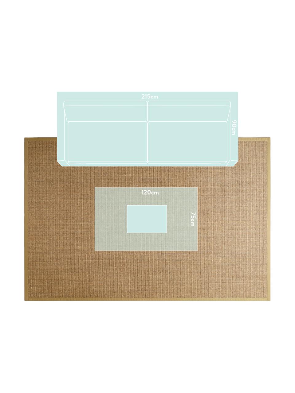 Sisal vloerkleed Leonie in beige, Bovenzijde: 100% sisal vezels, Onderzijde: latex, Beige, B 300 x L 400 cm (Maat XL)
