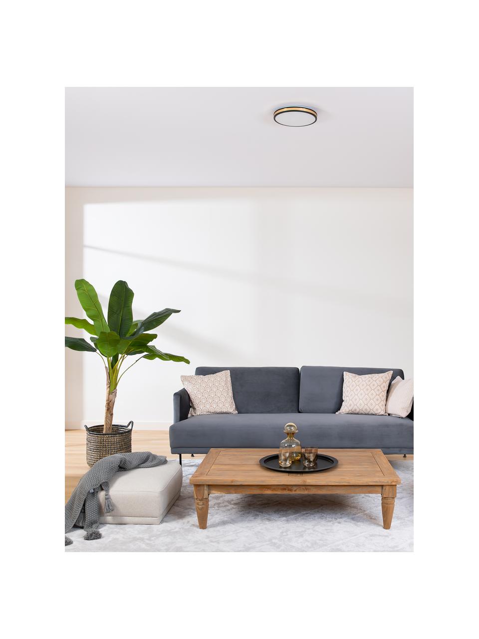 Malá stropná LED lampa Pescaito, Čierna, odtiene zlatej, Ø 28 x V 7 cm