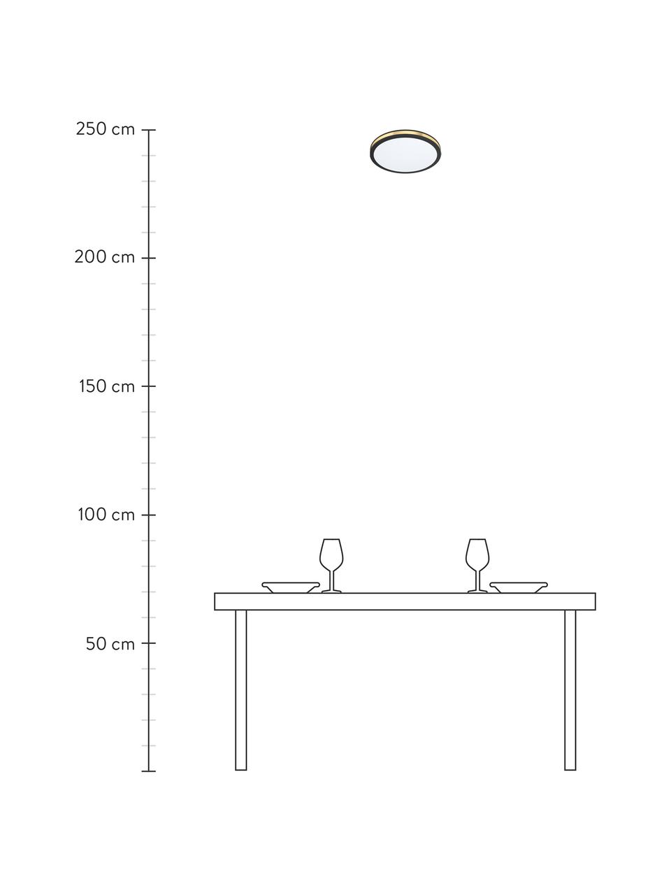 Kleine LED-Deckenleuchte Pescaito, Lampenschirm: Metall, lackiert, Diffusorscheibe: Kunststoff, Schwarz, Goldfarben, Ø 28 x H 7 cm