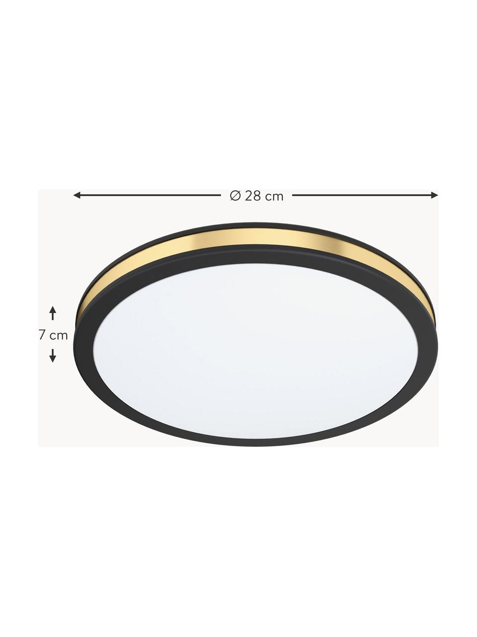 Plafoniera piccola LED Pescaito, Paralume: materiale sintetico, Baldacchino: metallo verniciato, Nero, dorato, Ø 28 x Alt. 7 cm