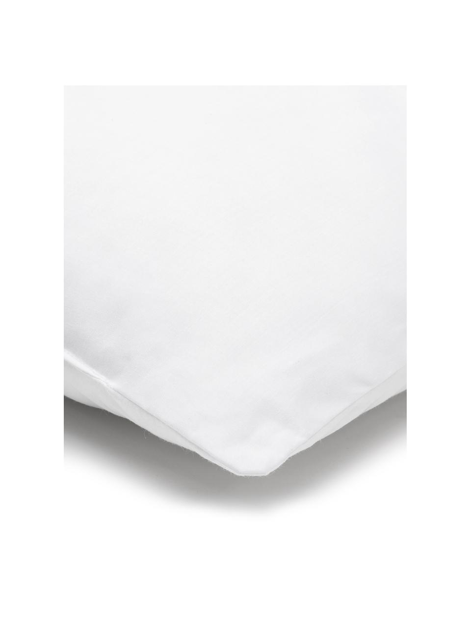 Relleno de cojín Sia, Funda: 100% algodón, Blanco, An 40 x L 60 cm