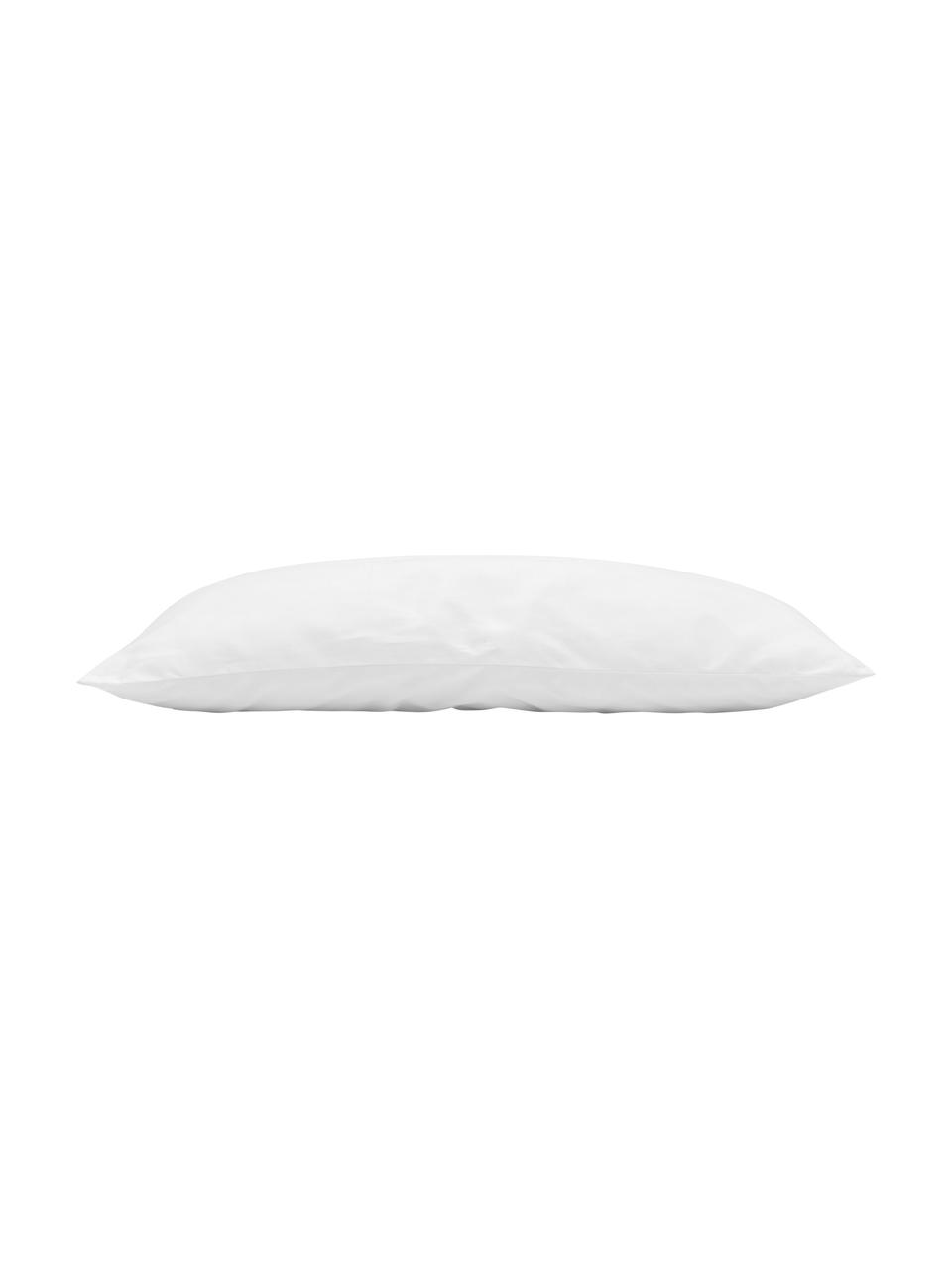 Wkład do poduszki Sia, 40x60, Biały, S 40 x D 60 cm
