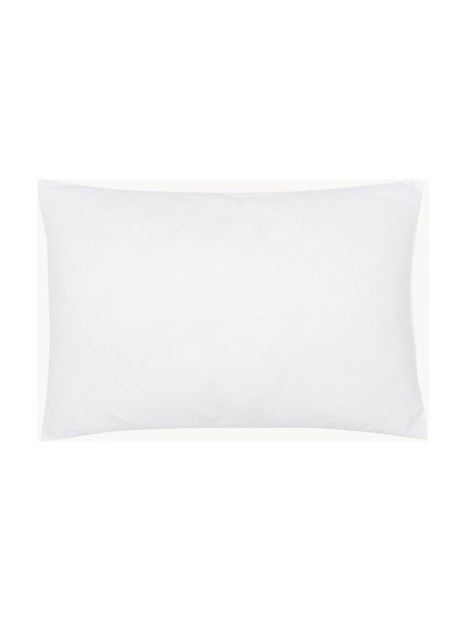 Imbottitura cuscino in microfibra Sia, 40x60, Bianco, Larg. 40 x Lung. 60 cm