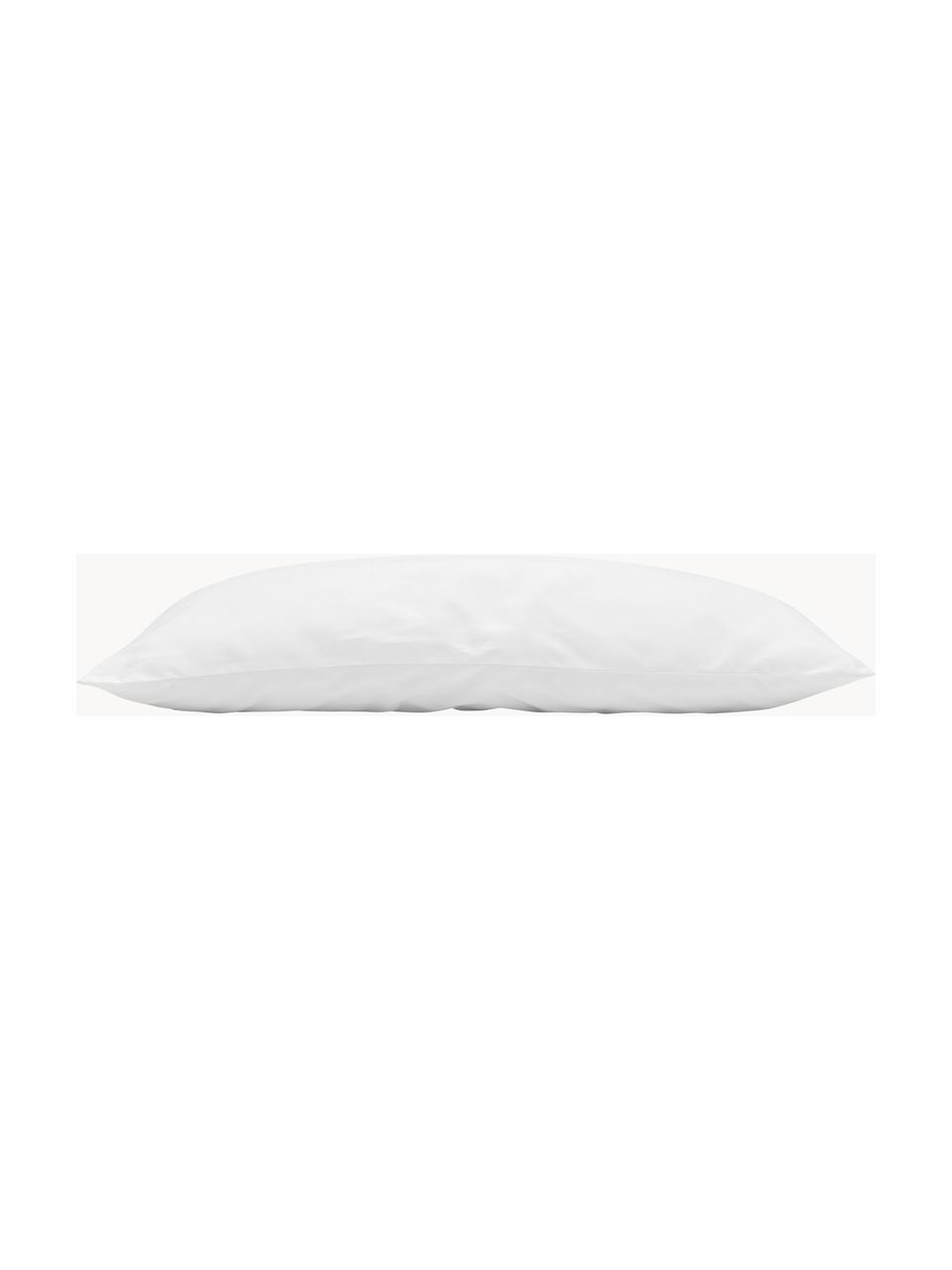 Garnissage de coussin 40x60 en microfibre Sia, Blanc, larg. 40 x long. 60 cm