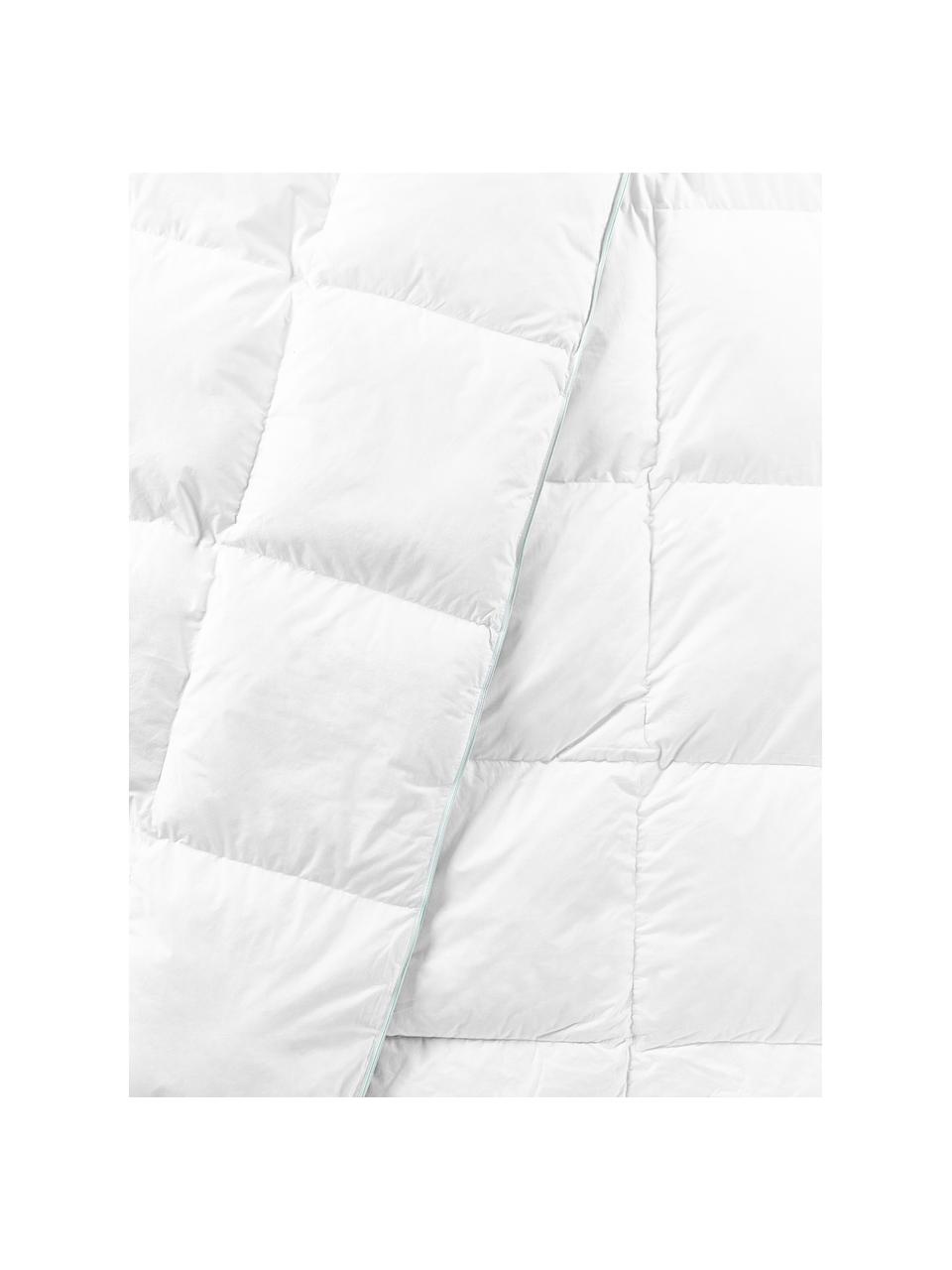 Couette pur duvet Premium, extra chaude, Extra chaude, larg. 200 x long. 200 cm