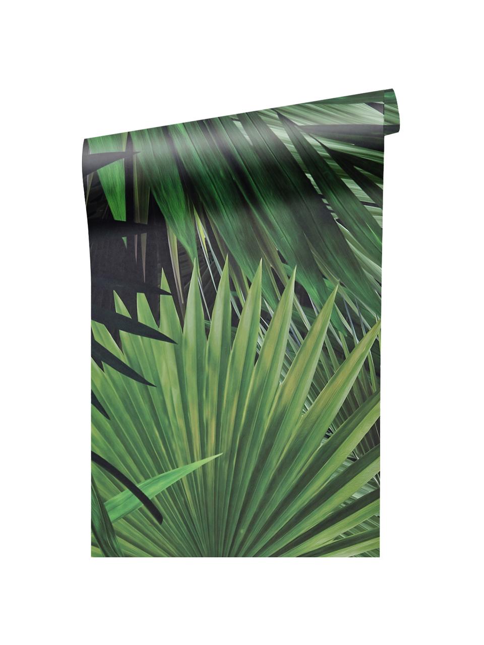 Carta da parati Palm Leaves, Tessuto non tessuto, ecologico e biodegradabile, Verde, Larg. 98 x Lung. 280 cm