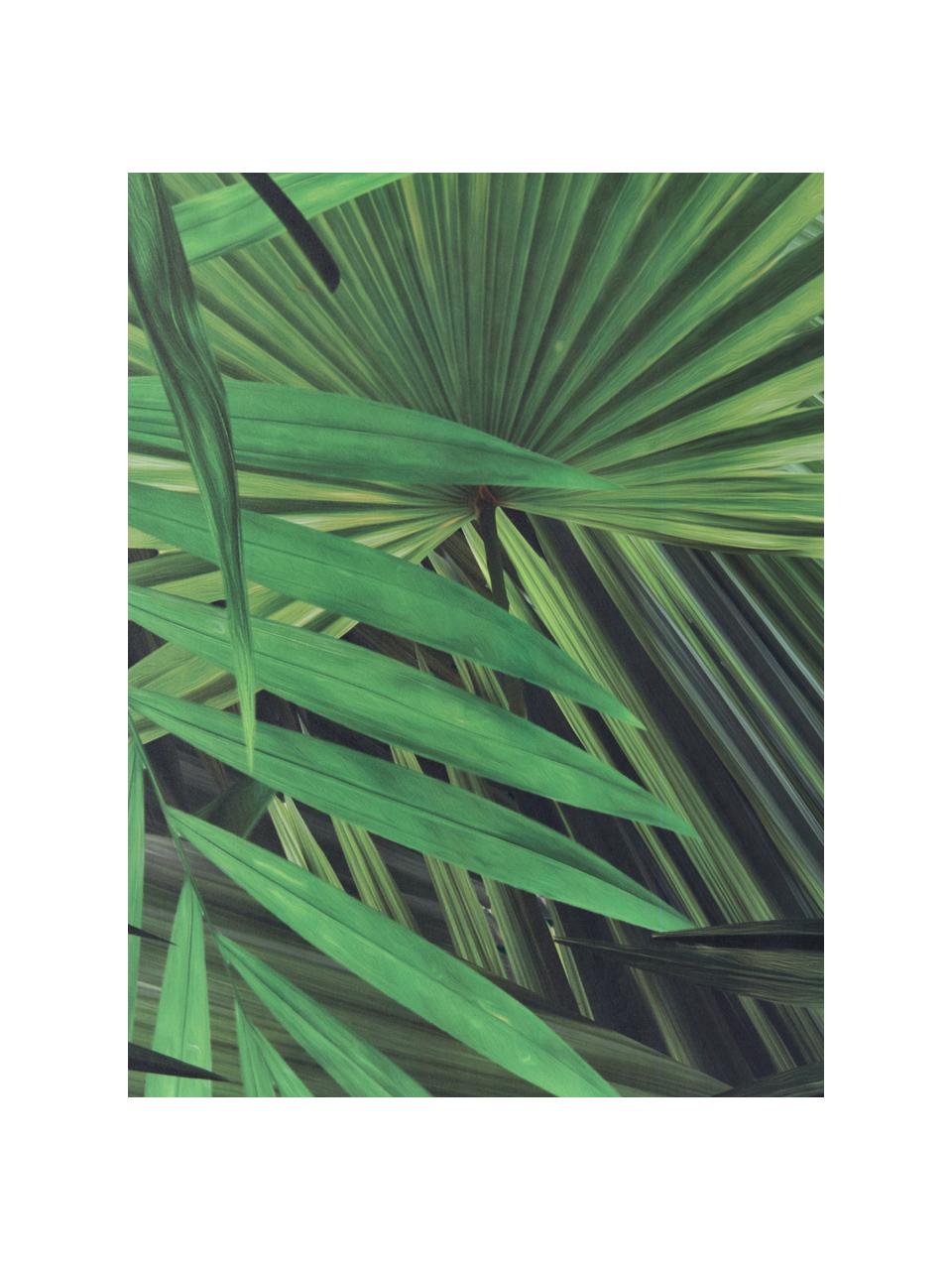 Papel pintado Palm Leaves, Tejido no tejido, ecológica y biodegradable, Verde, An 98 x L 280 cm