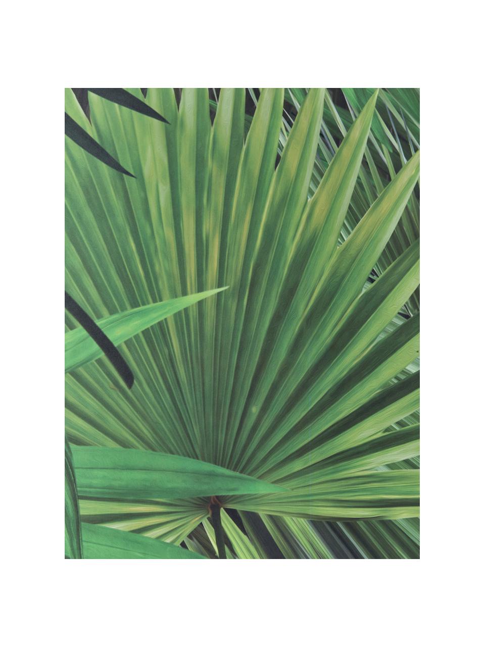 Carta da parati Palm Leaves, Tessuto non tessuto, ecologico e biodegradabile, Verde, Larg. 98 x Lung. 280 cm