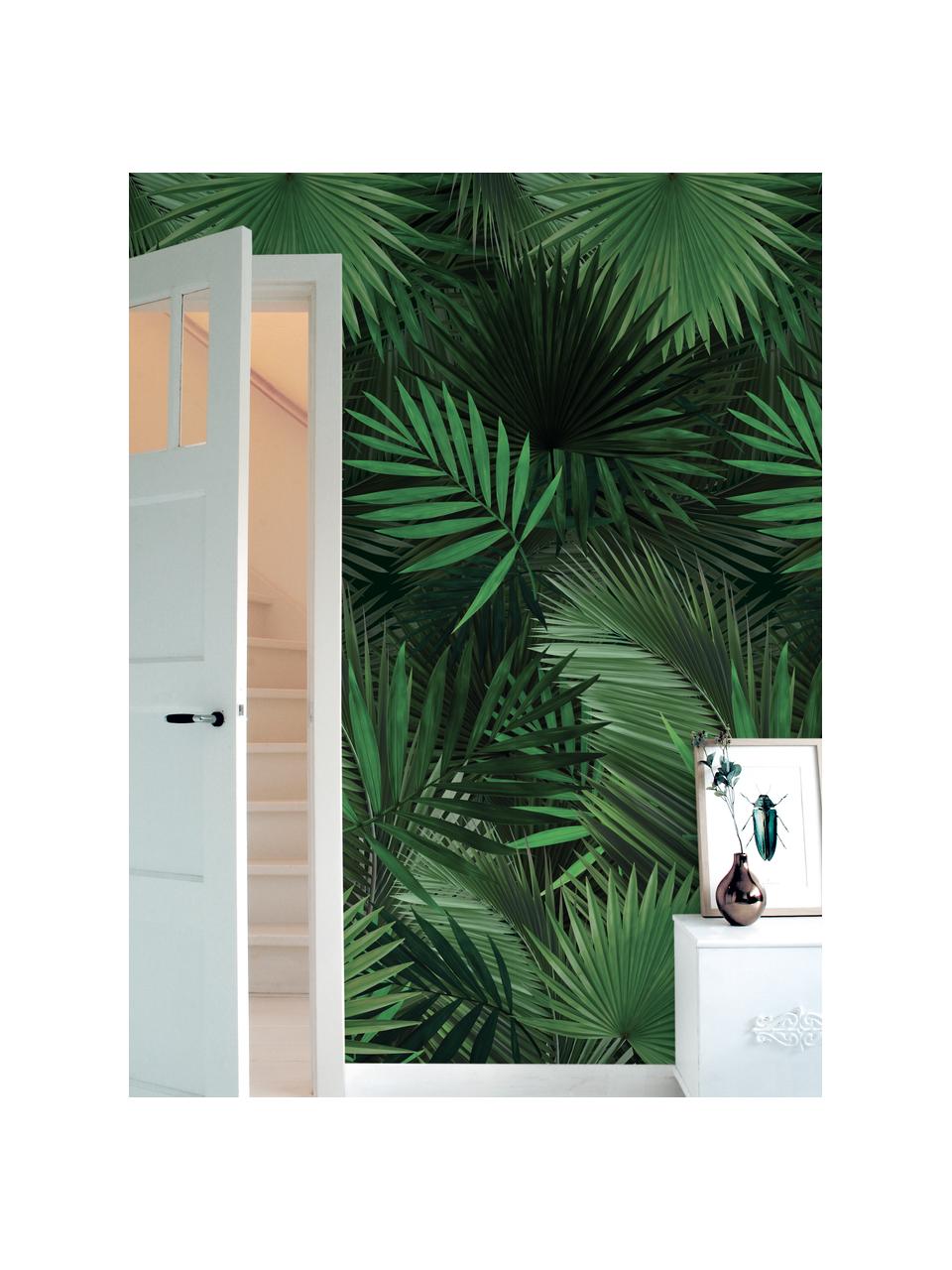 Papel pintado Palm Leaves, Tejido no tejido, ecológica y biodegradable, Verde, An 98 x L 280 cm