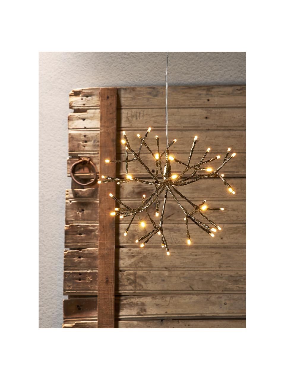 Outdoor LED-Weihnachtsdekoration Winny, Ø 30 cm, Rahmen: Metall, Goldfarben, Ø 30 x H 27 cm