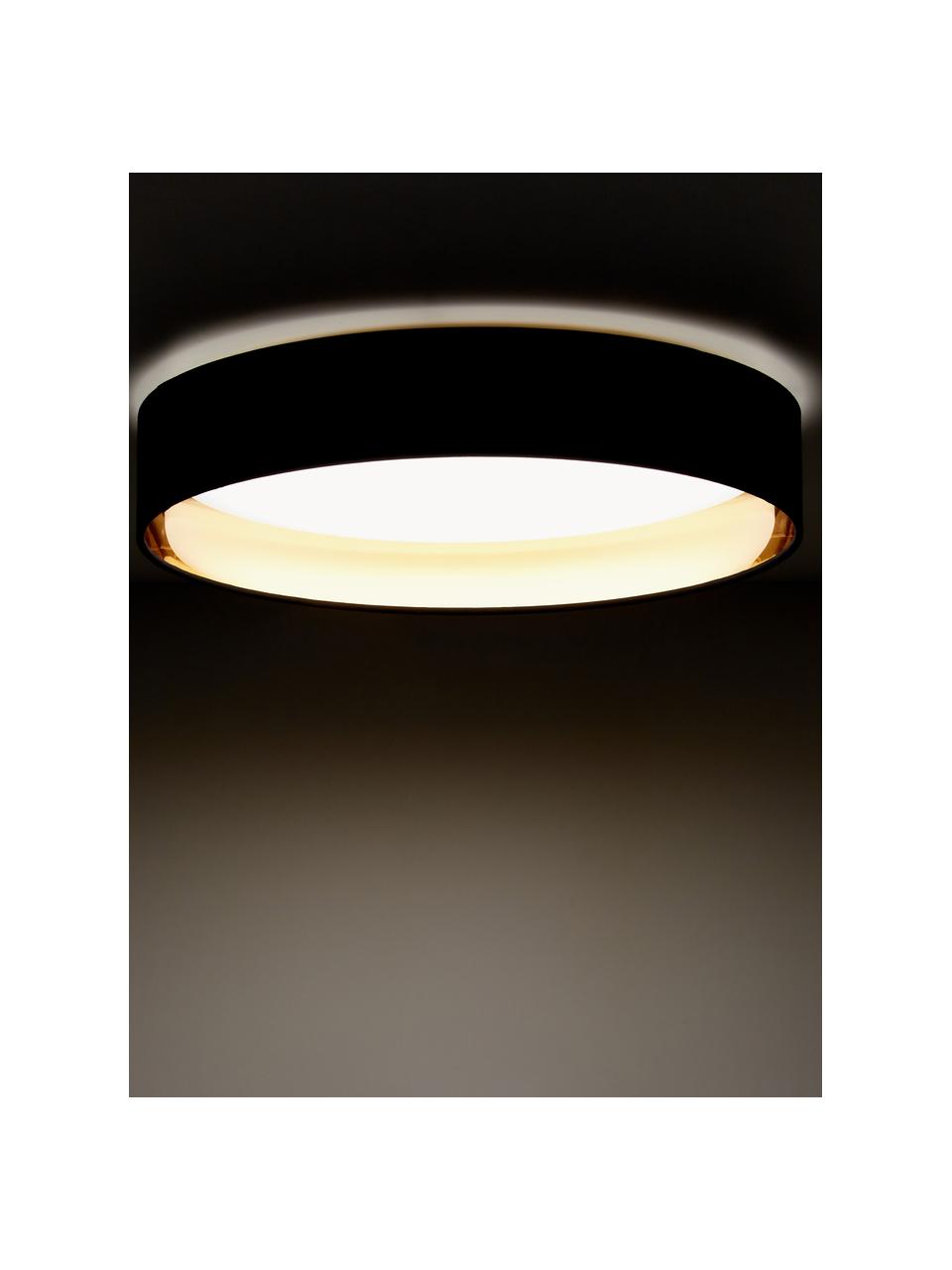 LED plafondlamp Mallory, Diffuser: kunststof, Zwart, goudkleurig, Ø 41 x H 10 cm