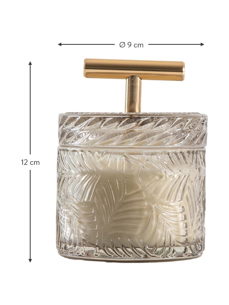 Vela perfumada Theo (sándalo), Recipiente: vidrio, Gris, cobre, Ø 9 x Al 12 cm