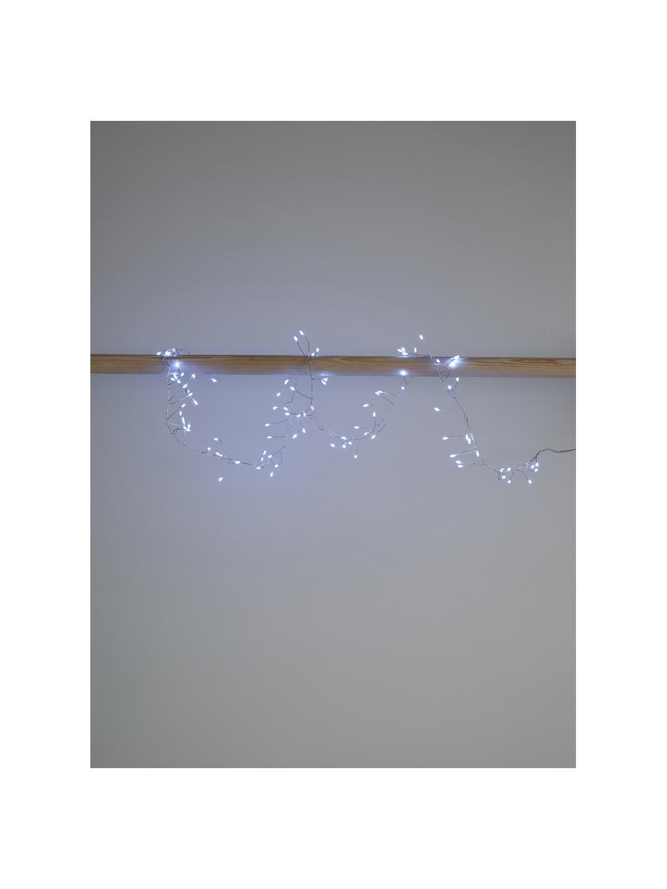Ghirlanda a LED Compact, bianco freddo, Plastica, Argentato, Lung. 120 cm