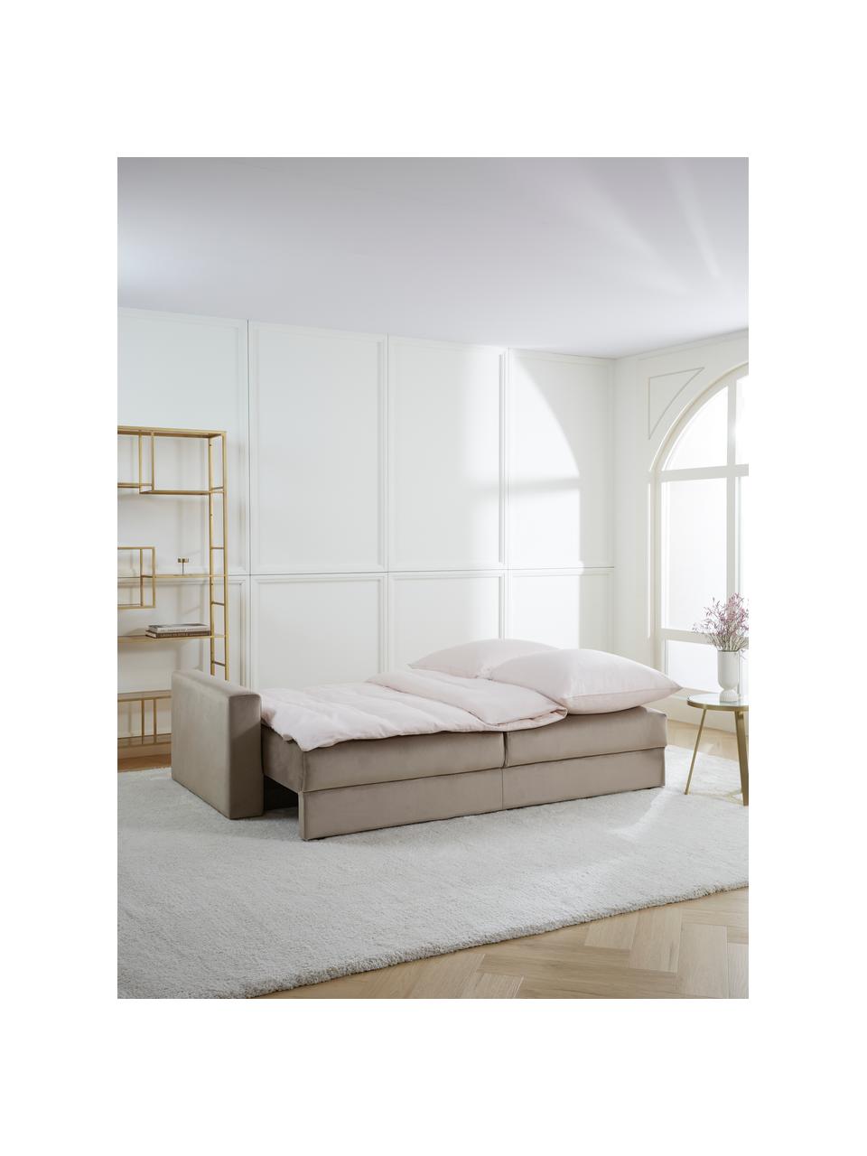 Divano letto in velluto Tasha, Rivestimento: velluto (100% poliestere), Struttura: legno di pino massiccio, , Piedini: materiale sintetico, Velluto beige, Larg. 235 x Prof. 100 cm