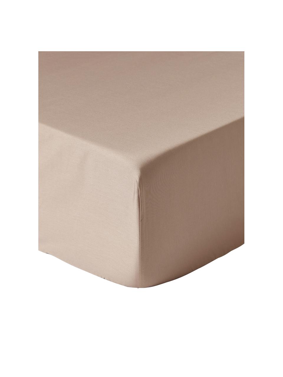 Boxspring-Spannbettlaken Premium, Baumwollsatin, Webart: Satin Fadendichte 400 TC,, Beige, B 90 x L 200 cm, H 35 cm