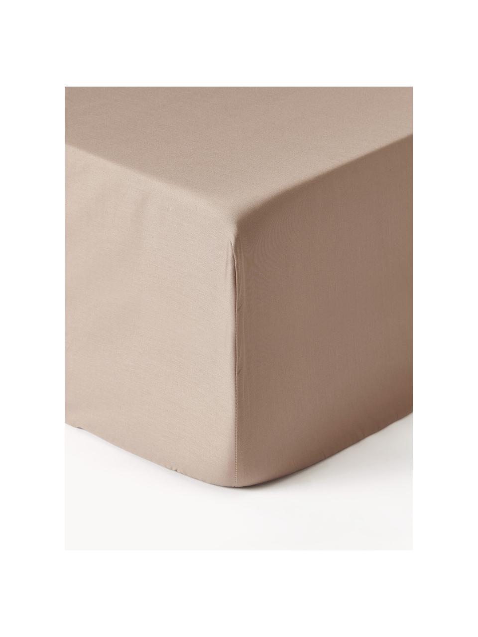 Boxspring-Spannbettlaken Premium, Baumwollsatin, Webart: Satin Fadendichte 400 TC,, Beige, B 90 x L 200 cm, H 35 cm