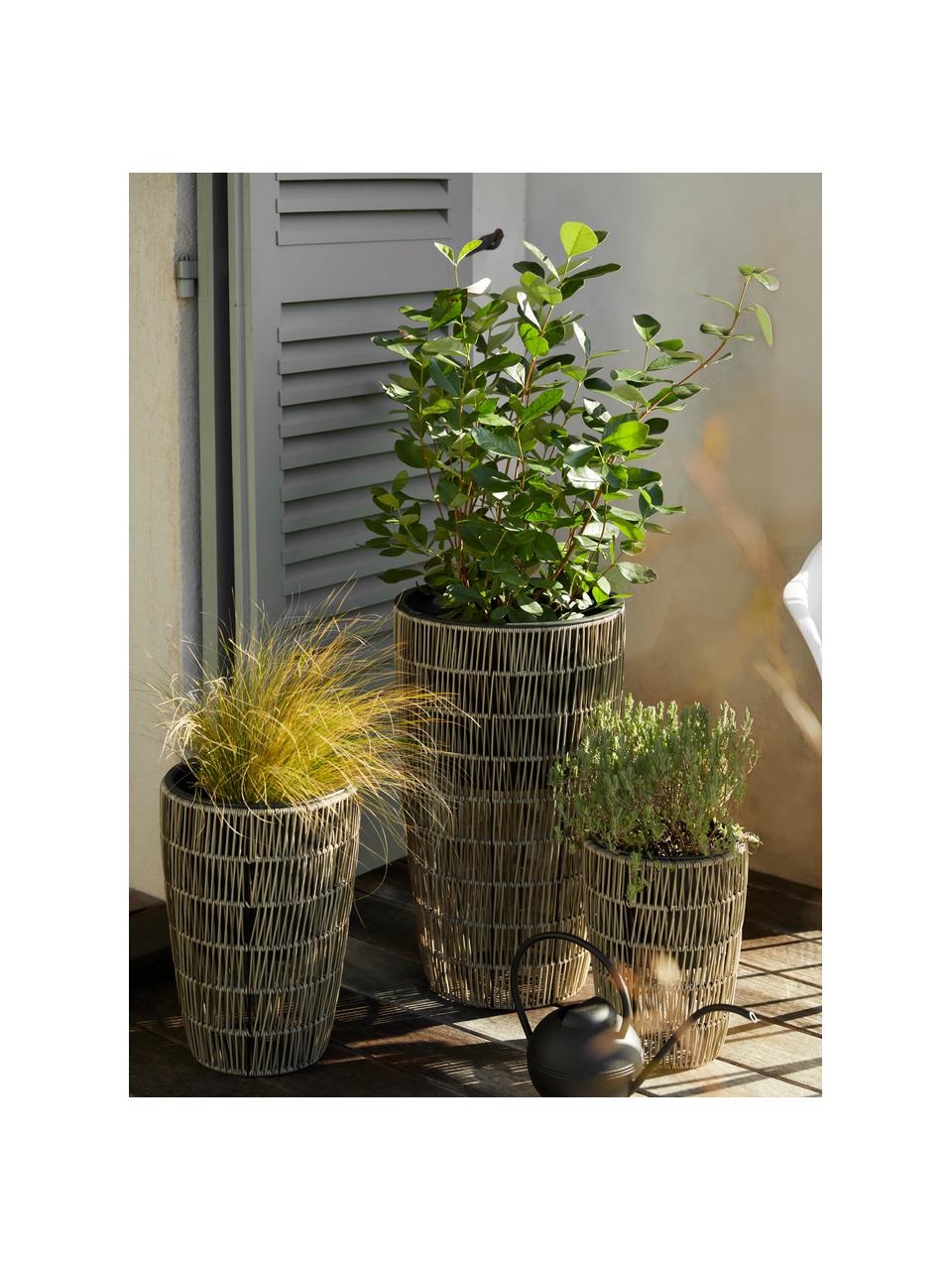 Plantenpottenset Lucian van rotan, 3-delig, Rotan, Bruin, Set met verschillende formaten