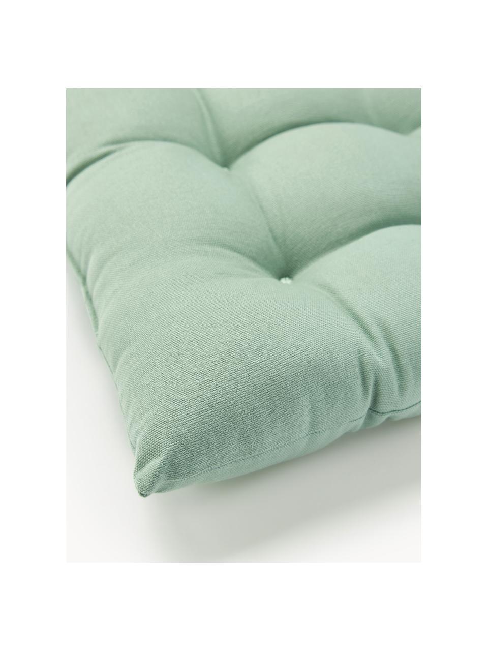 Cojines de asiento Ava, 2 uds., Funda: 100% algodón, Verde salvia, An 40 x L 40 cm