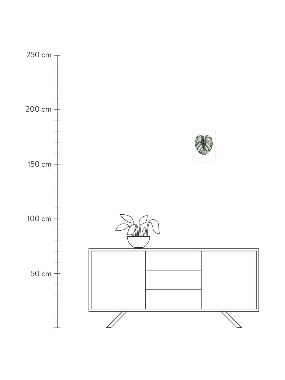 Plagát Urban Monstera, Digitálna tlač na papieri, 200 g/m², Biela, zelená, Š 21 , V 30 cm