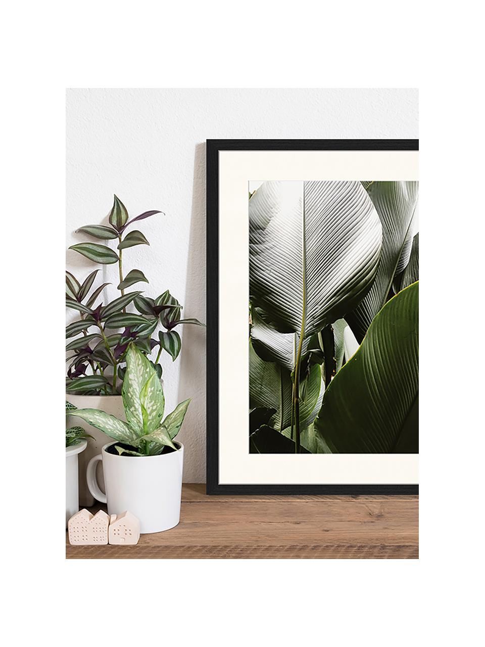 Oprawiony druk cyfrowy Palm Tree Leaves, Wielobarwny, S 43 x W 53 cm