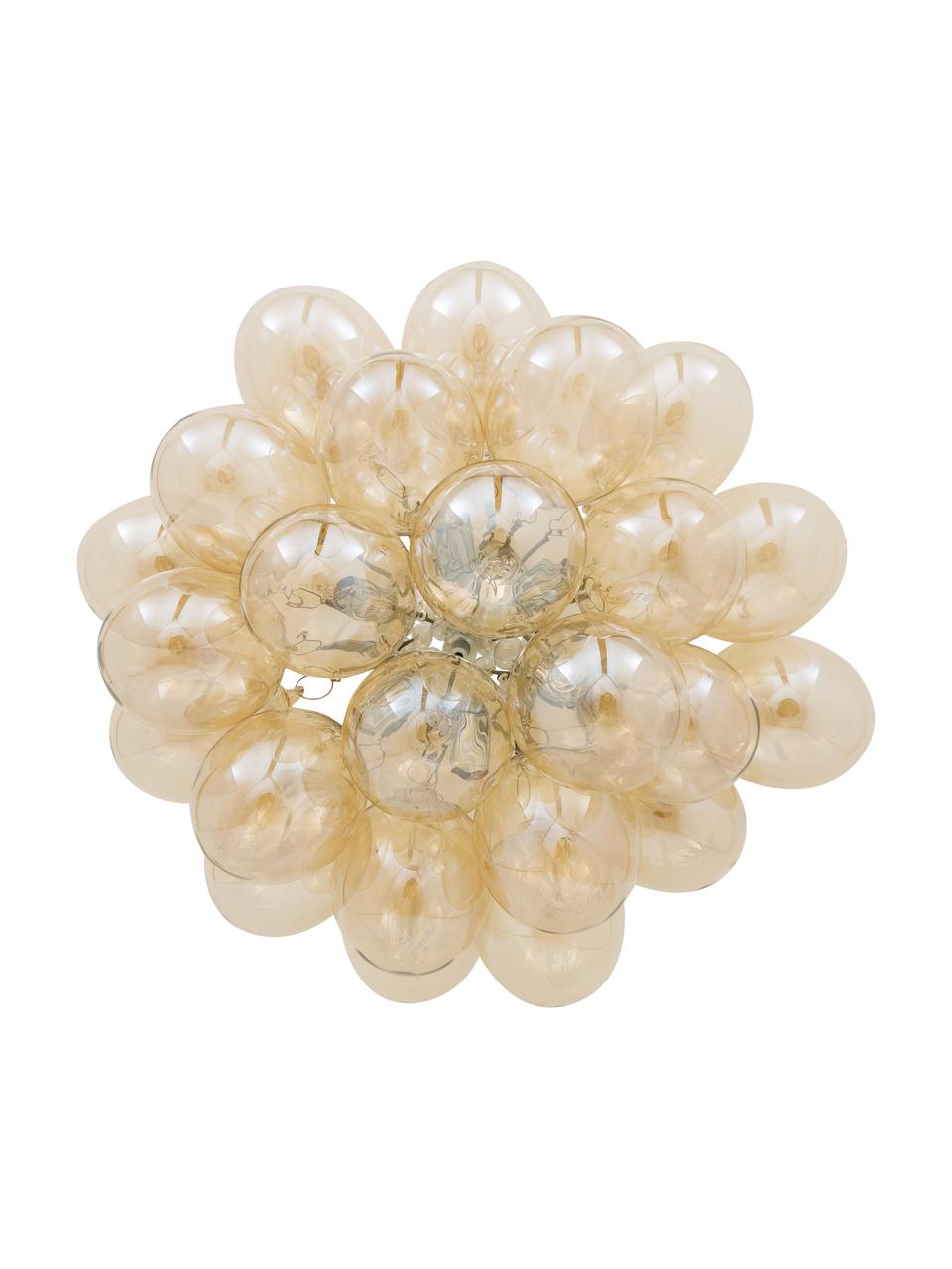 Plafón de vidrio Gross, Anclaje: níquel cromado, Ámbar, Ø 50 x Al 27 cm