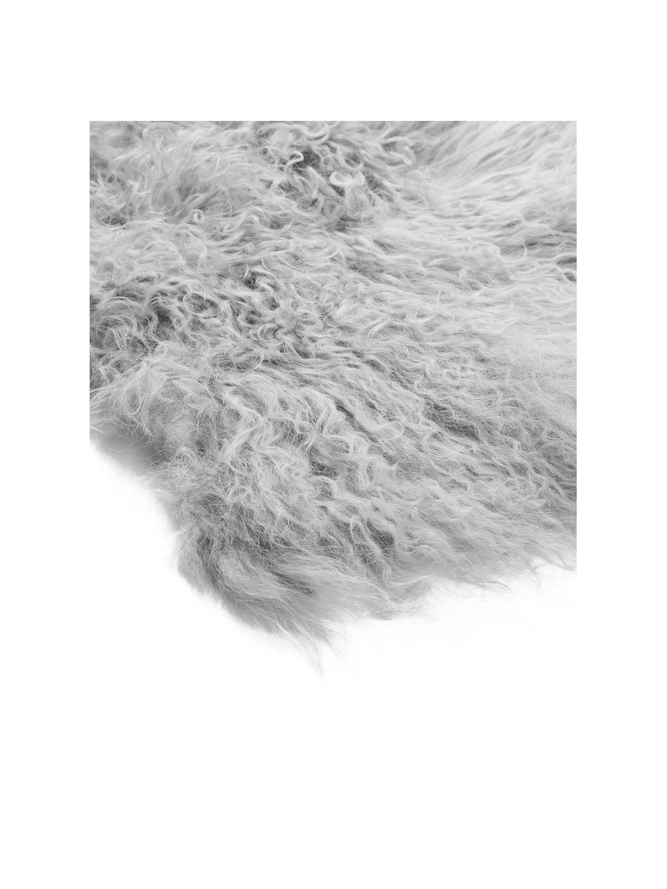 Langharige schapenvacht Ella, gekruld, Bovenzijde: Mongoolse schapenvacht, Onderzijde: leer, Lichtgrijs, B 50 x L 80 cm